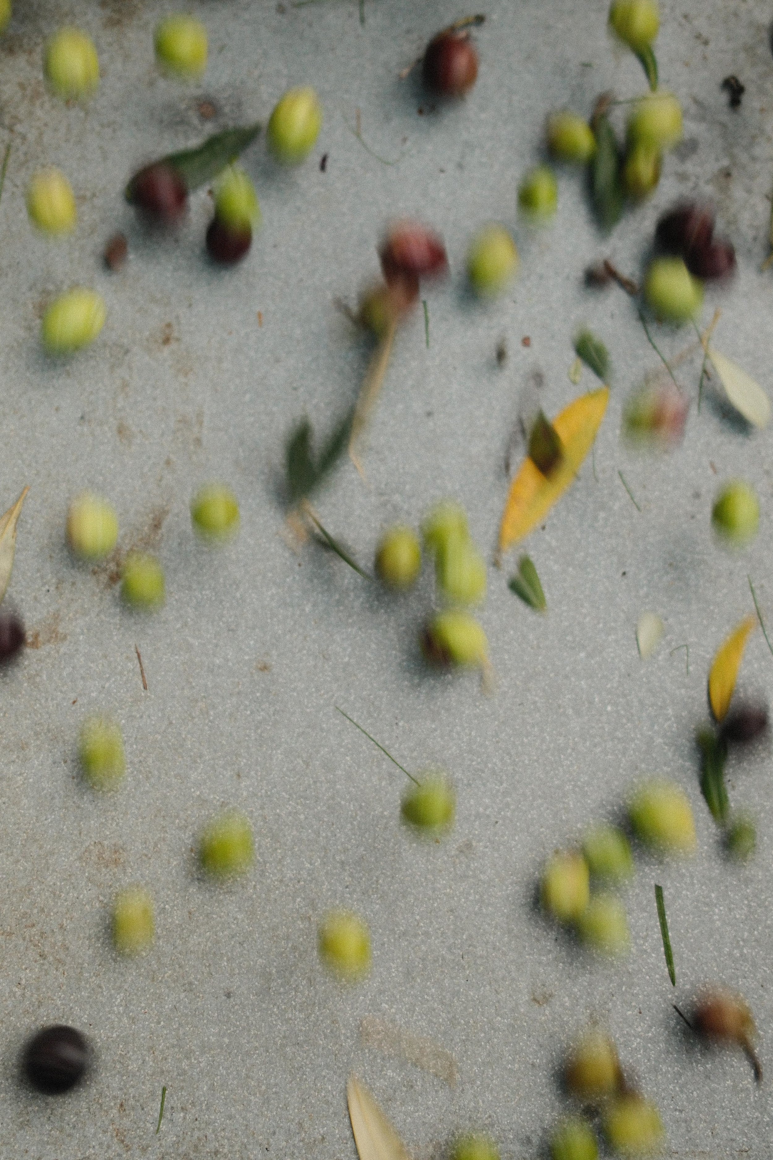Olives