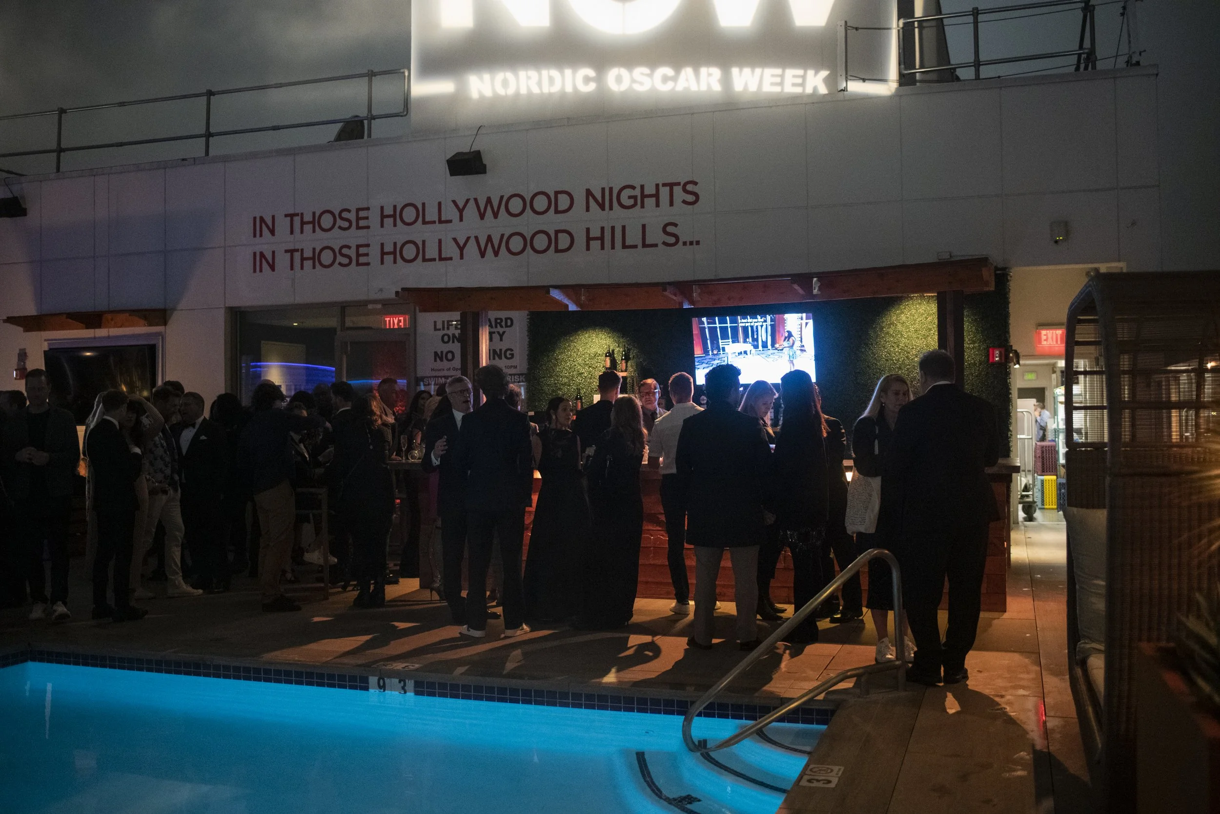 CELEBRATION NOW 2023 Photo by Aga Visuals-_DAG3416.jpg