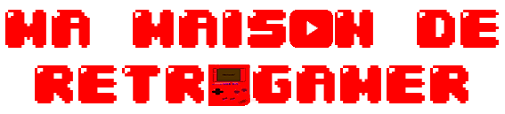 Introduction Ma Maison de Retrogamer