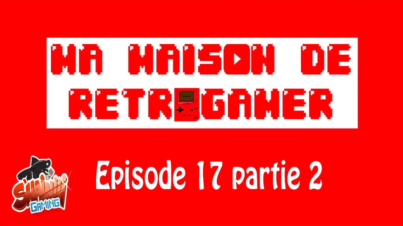 Ma Maison de Retrogamer épisode 17 (partie 2)