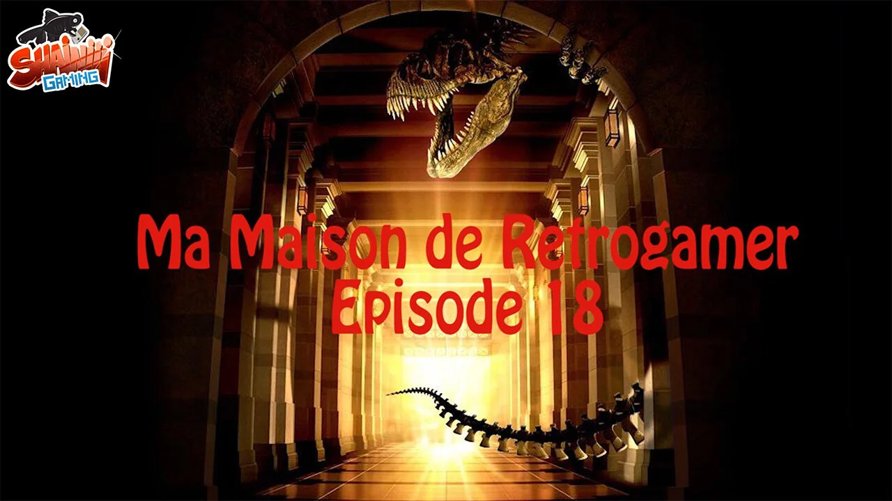 Ma Maison de Retrogamer épisode 18
