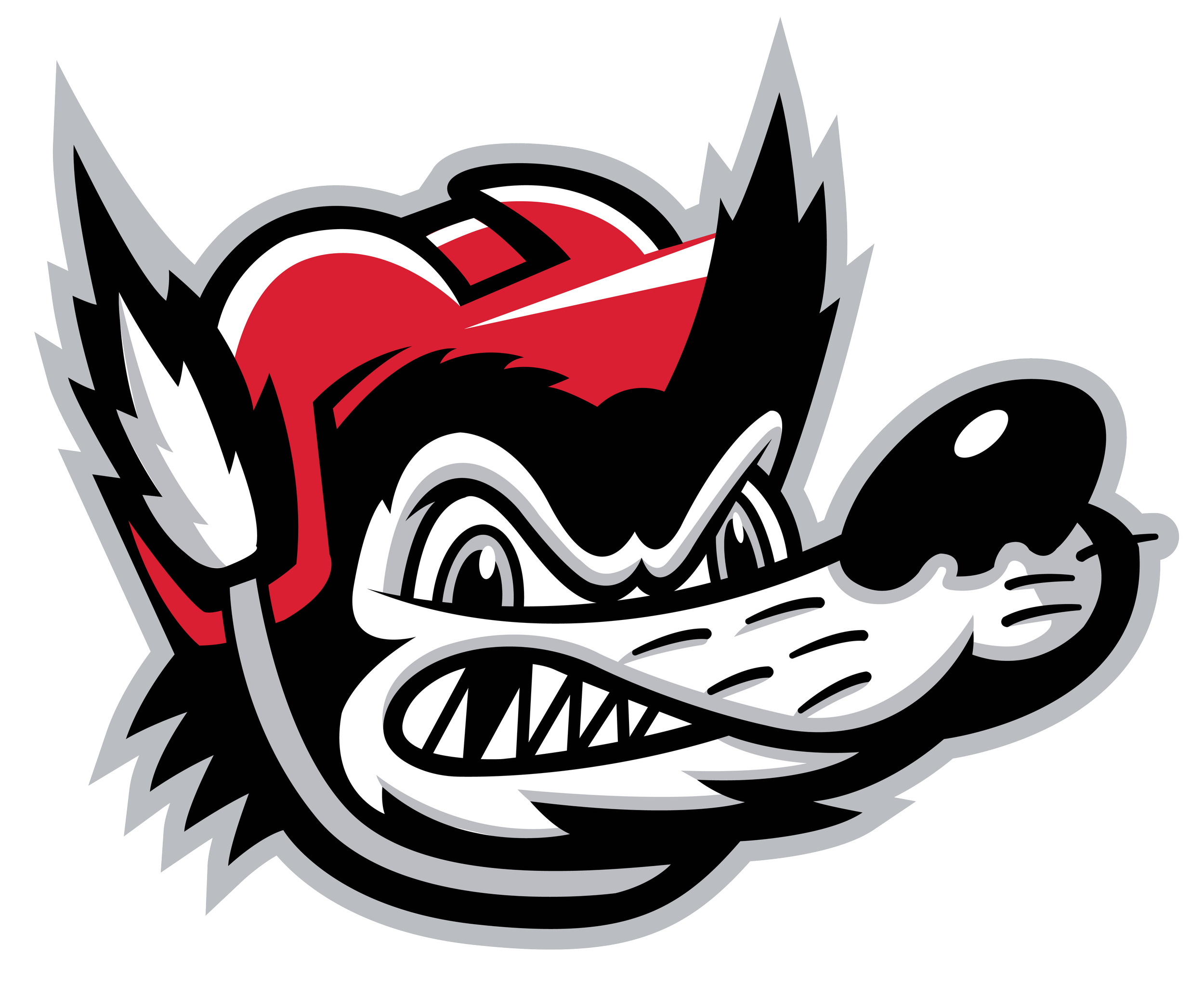 Huntsville Havoc Photography