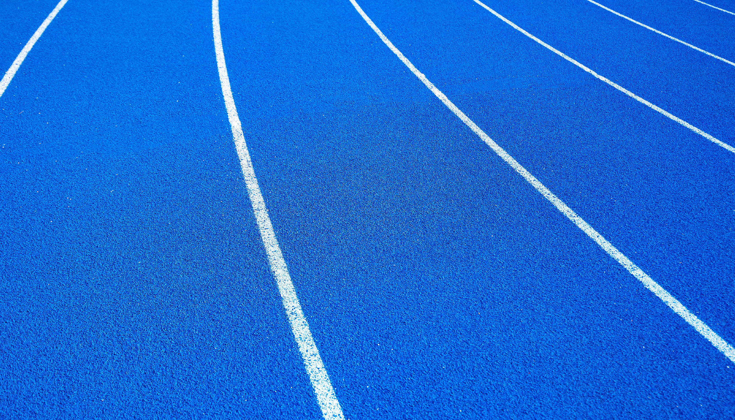 website layout trackfit5.png