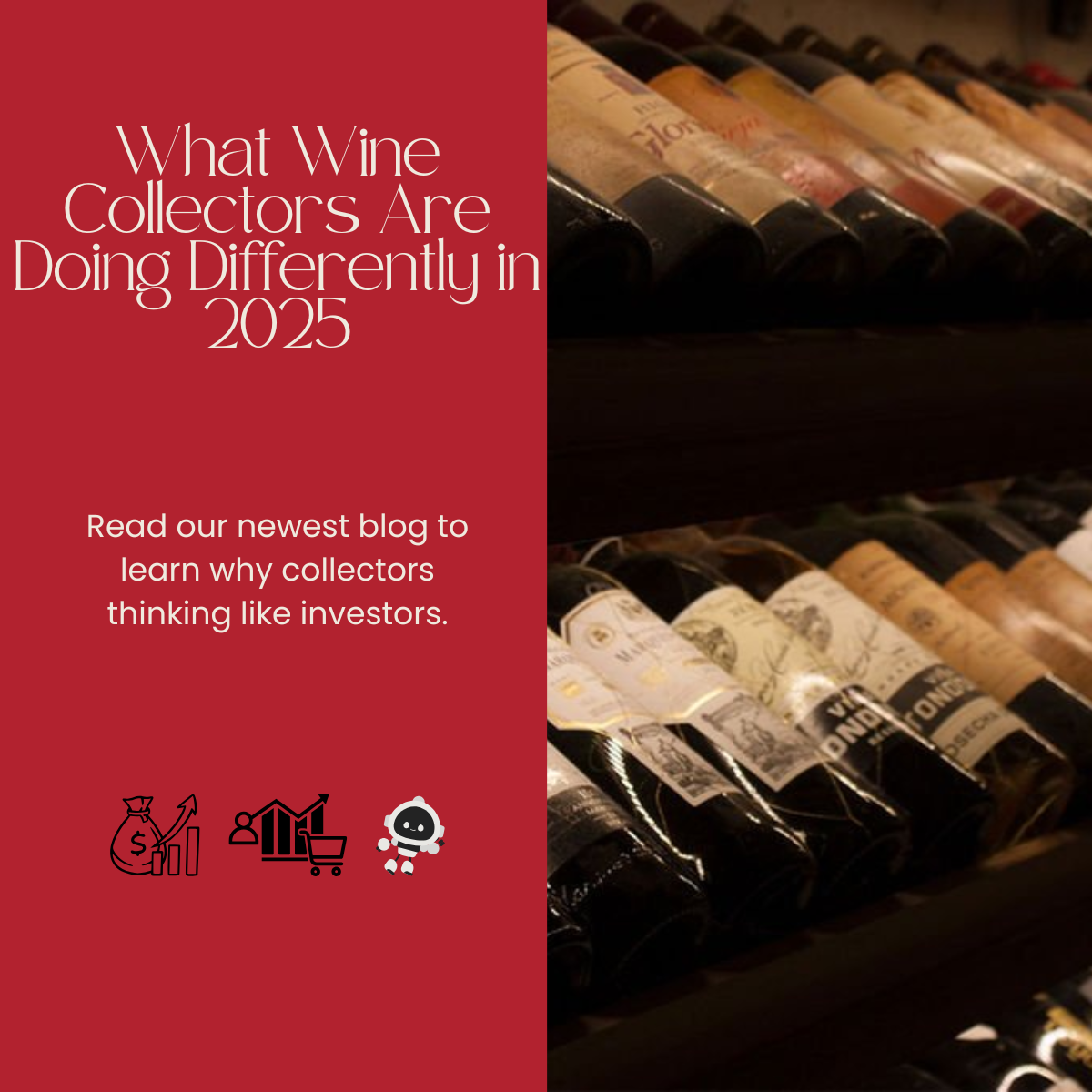 What Wine Collectors Are Doing Differently in 2025