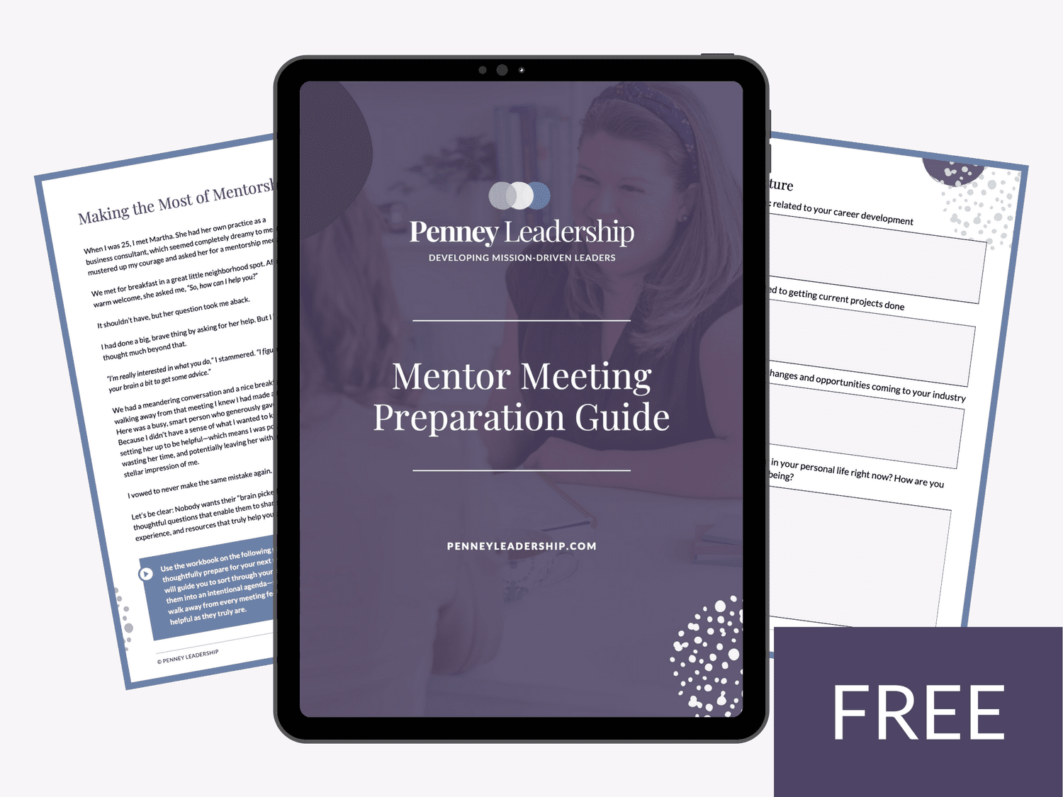 Making the Most of Mentorship: How to Prepare for a Meeting with Your ...