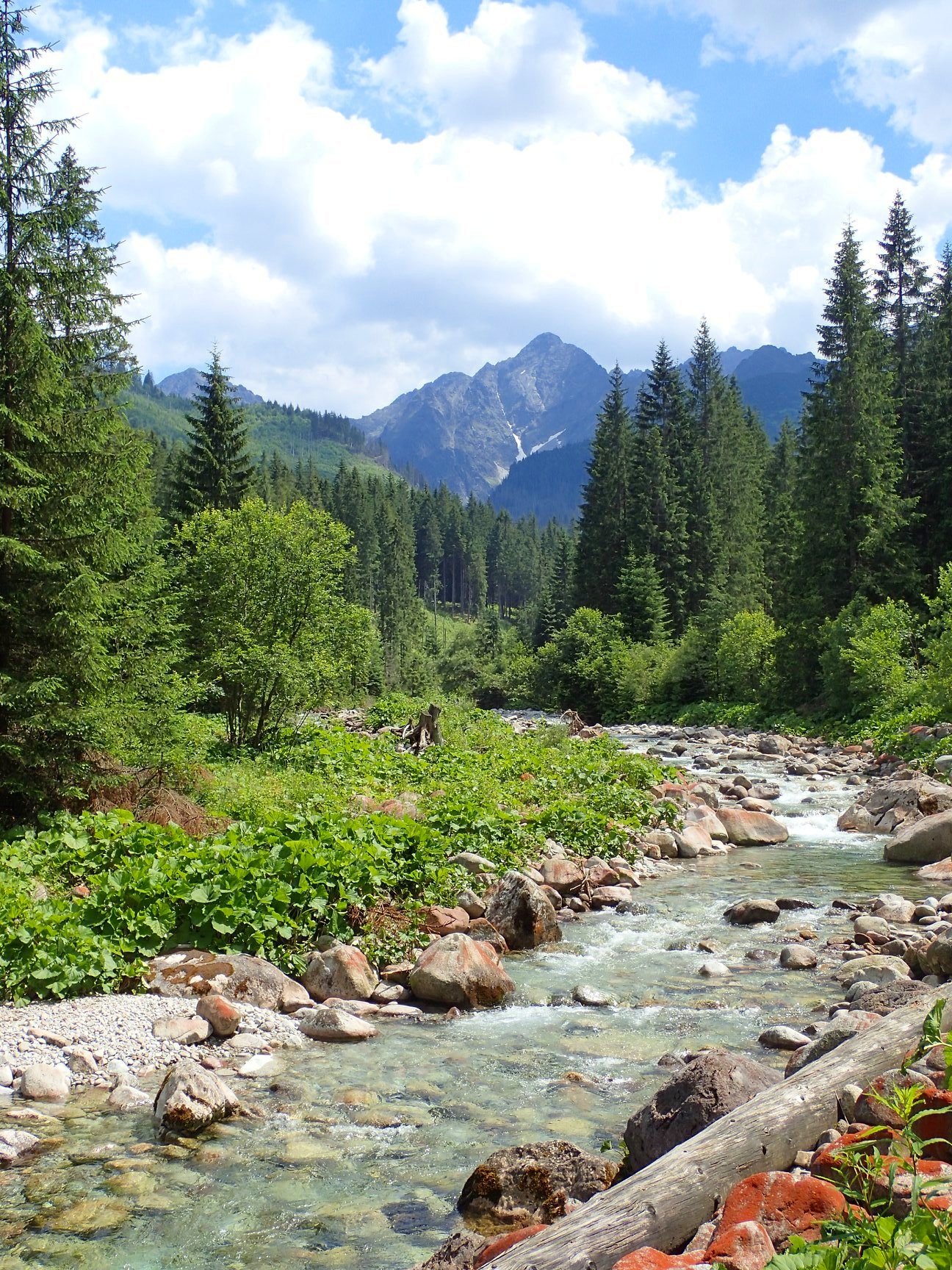Tatras+2018+7.jpg
