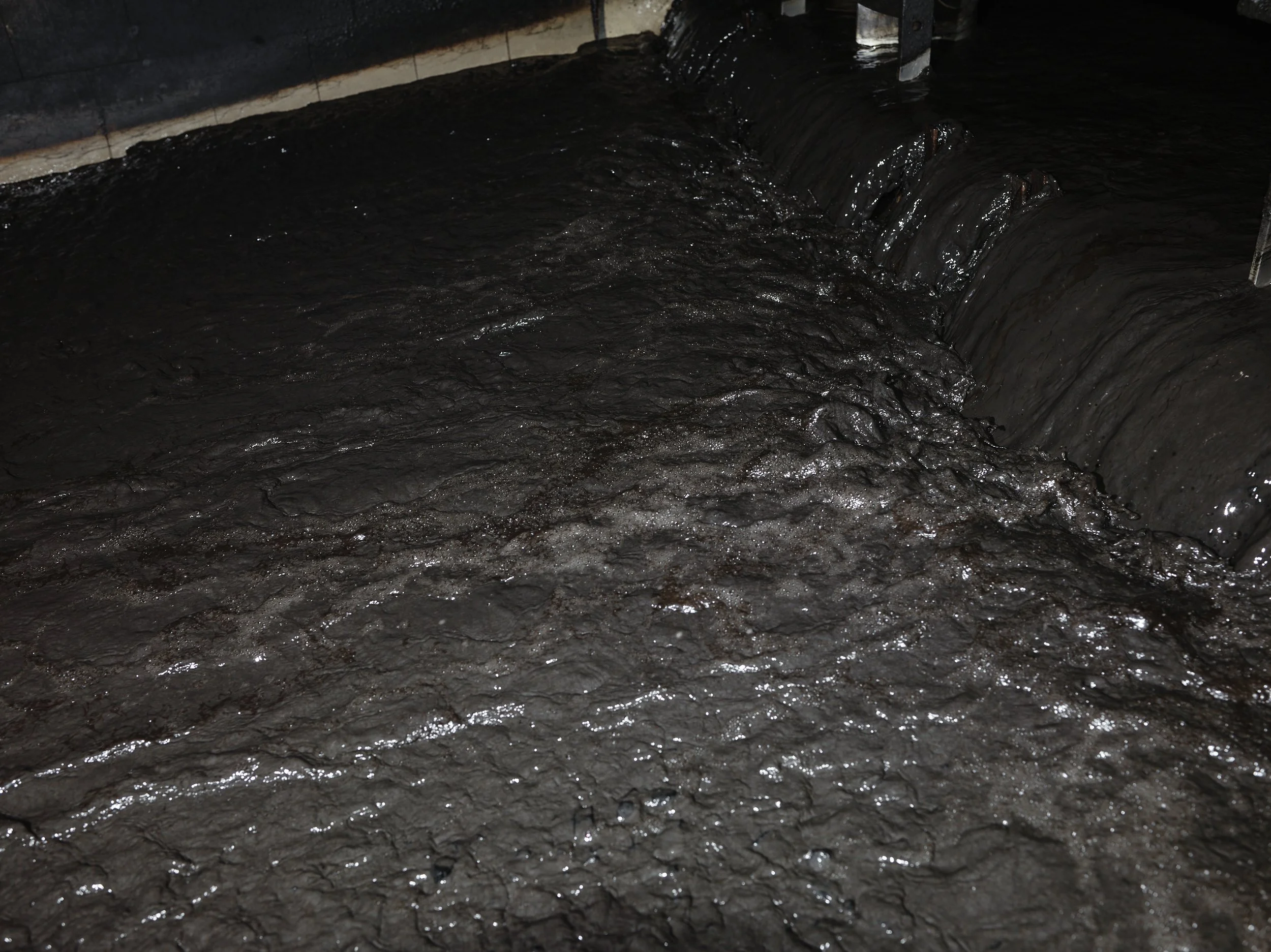 CF120680.jpg