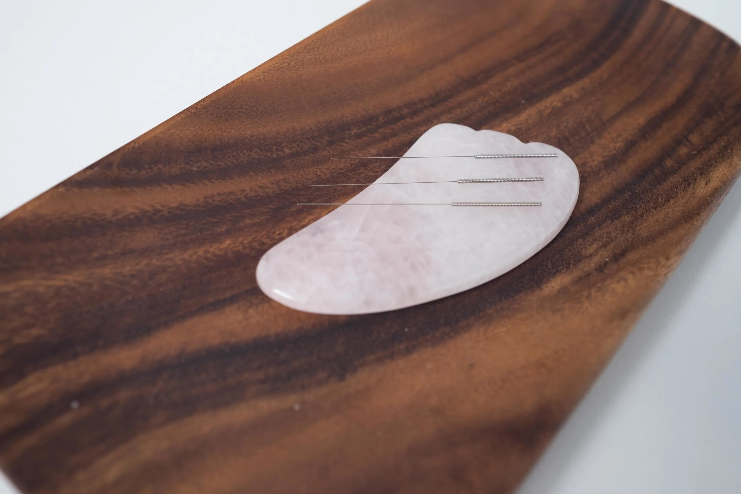 Facial Rejuvenation Workshop June 10