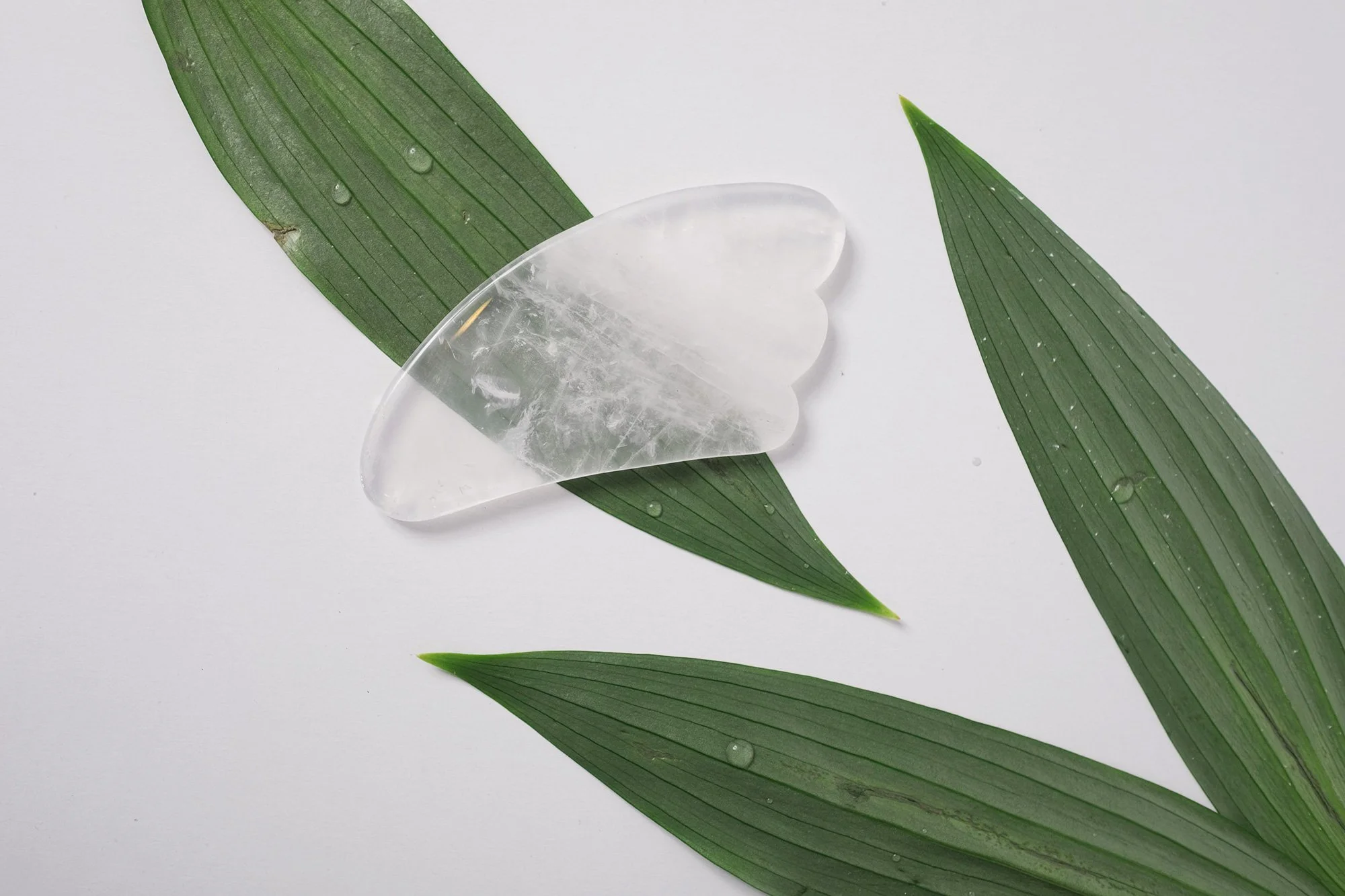 Skin Care Party Sampling