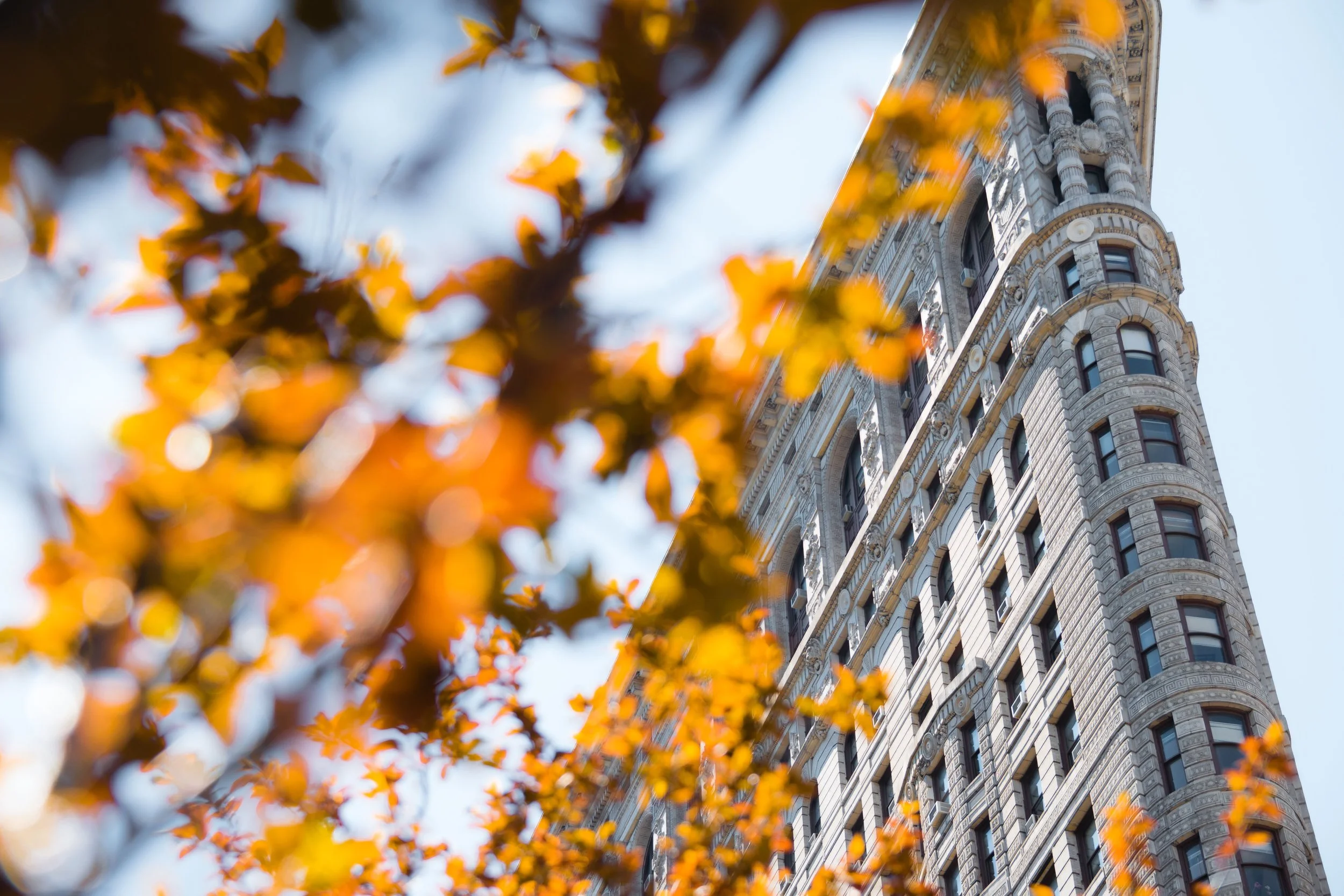 Fall Schedule Updates