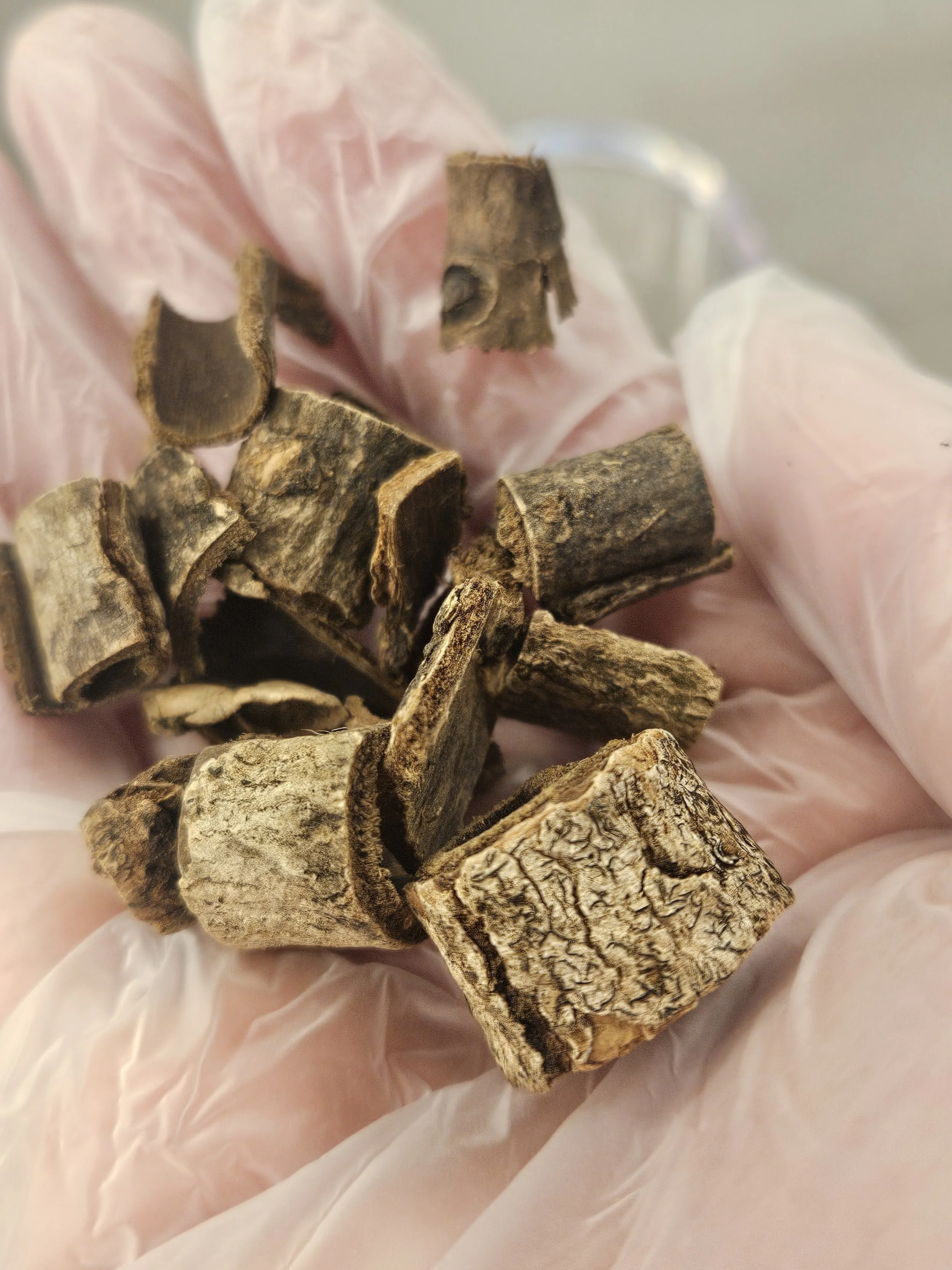 Patchouli and Magnolia Bark In Chinese Medicine