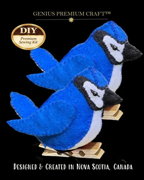 BLUE+JAY+new+black+JUN2026.jpg