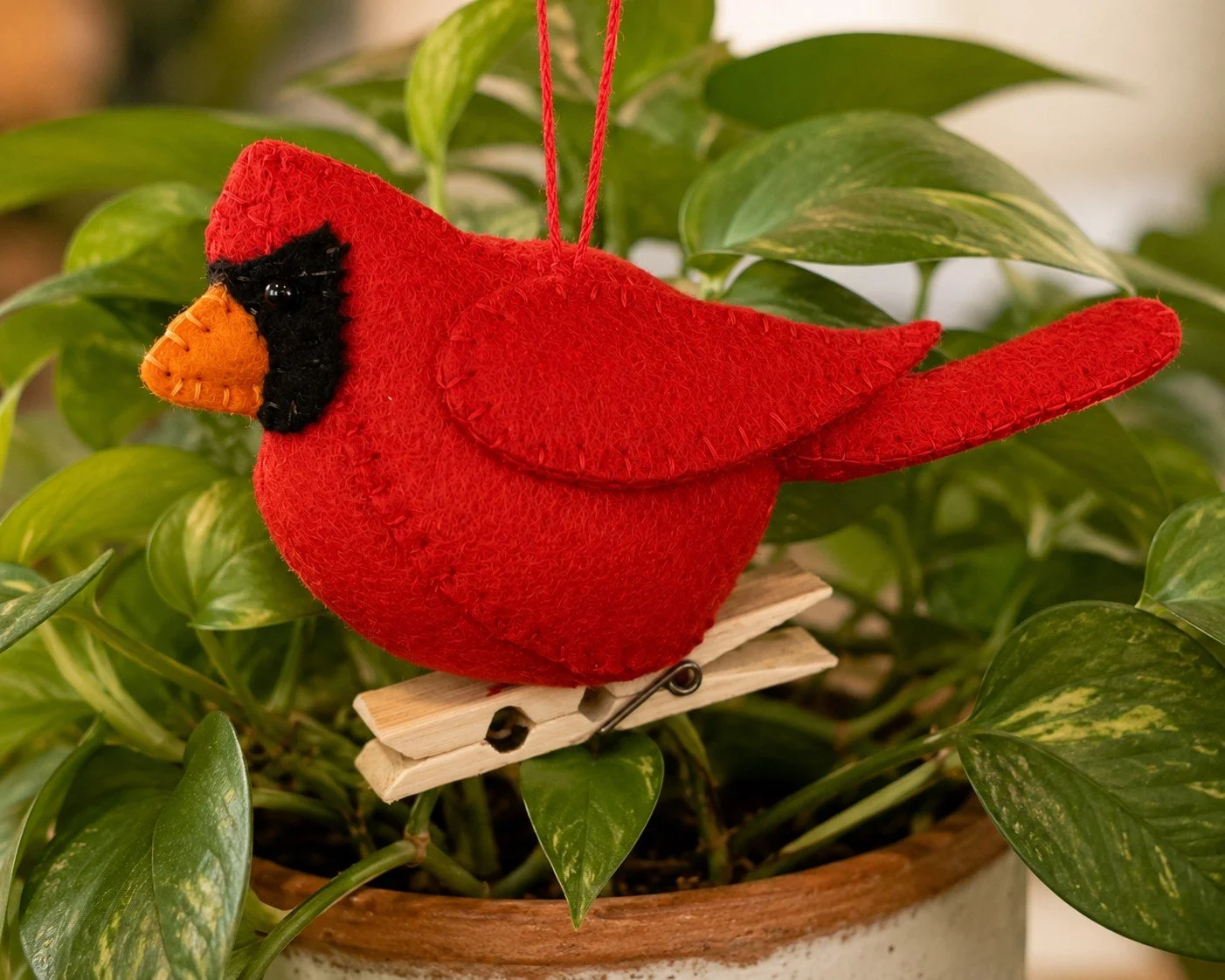 CARDINAL ON A PLANT.jpeg