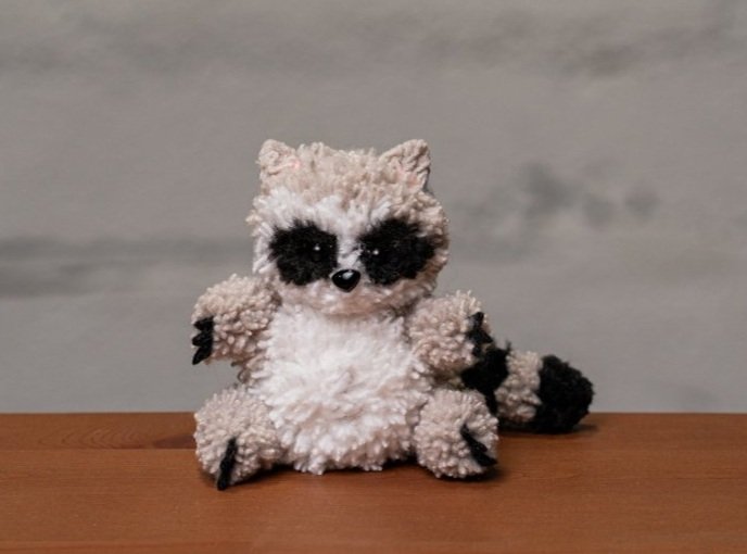 raccoon+cooke+3.jpg
