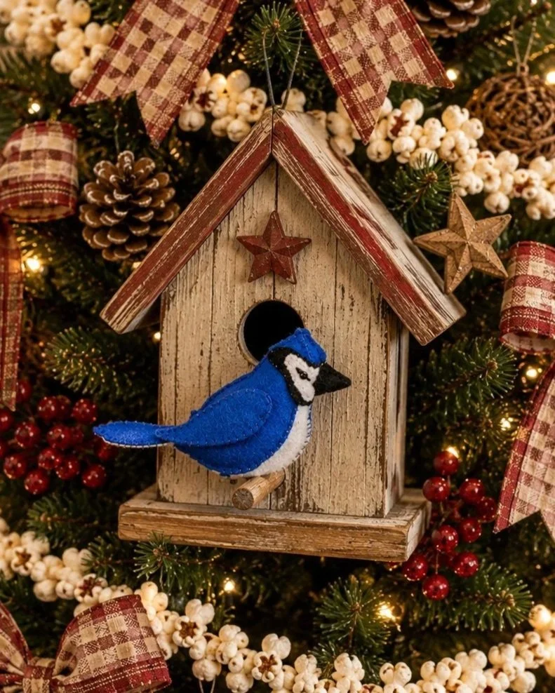 blue+jay+on+birdh+house.jpg