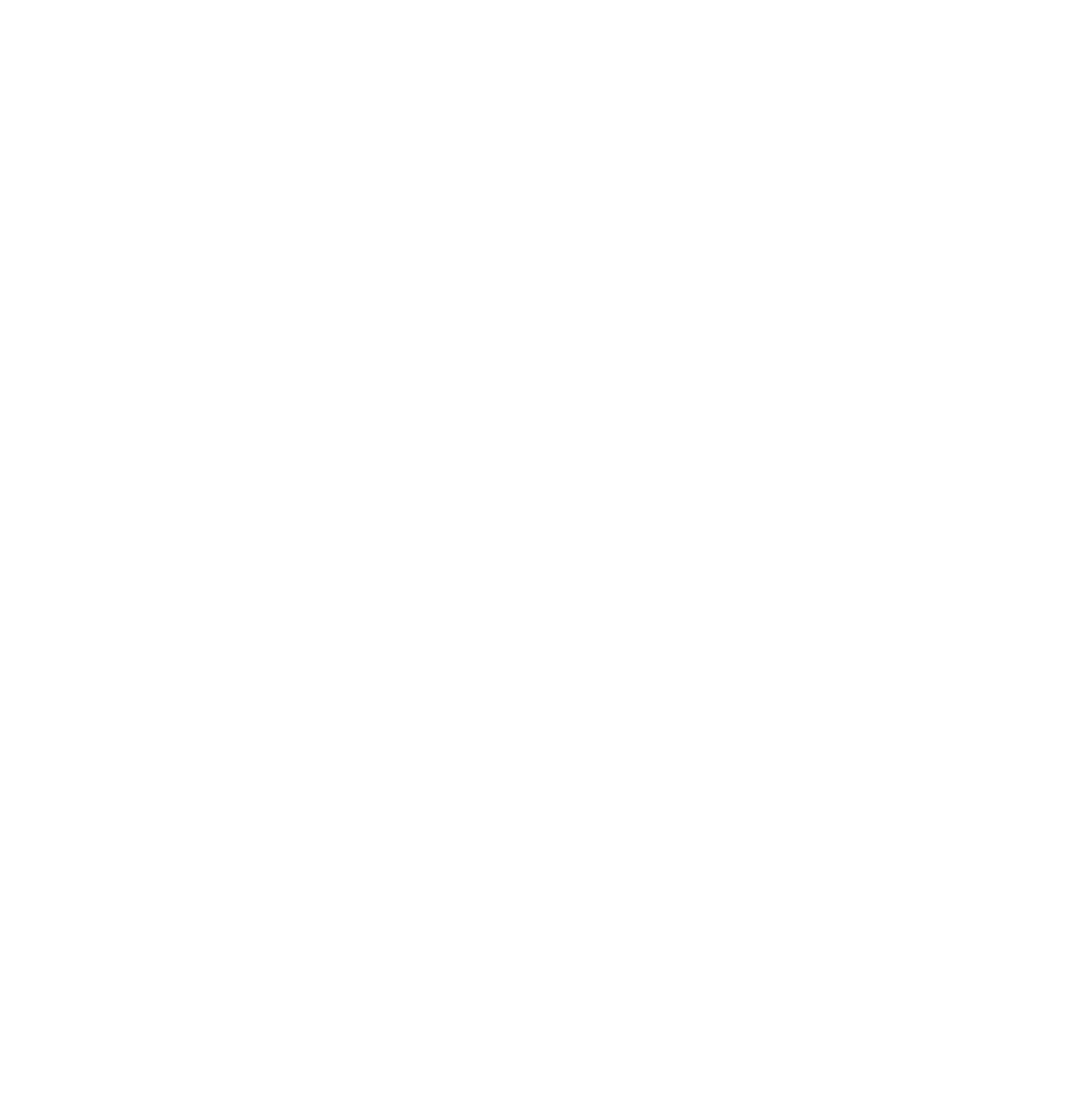SASM
