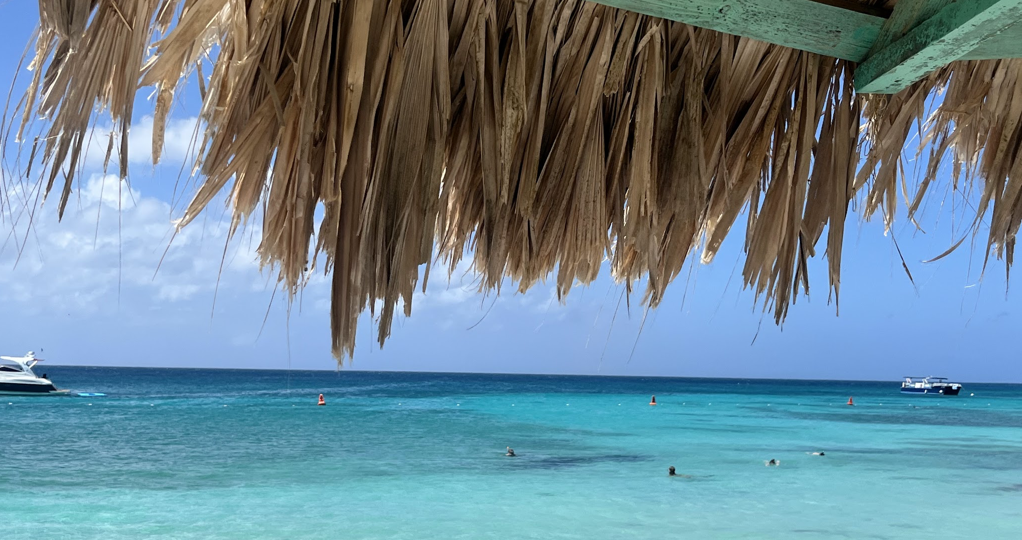 Screenshot 2025-11-18 at 11.05.07 AM.png