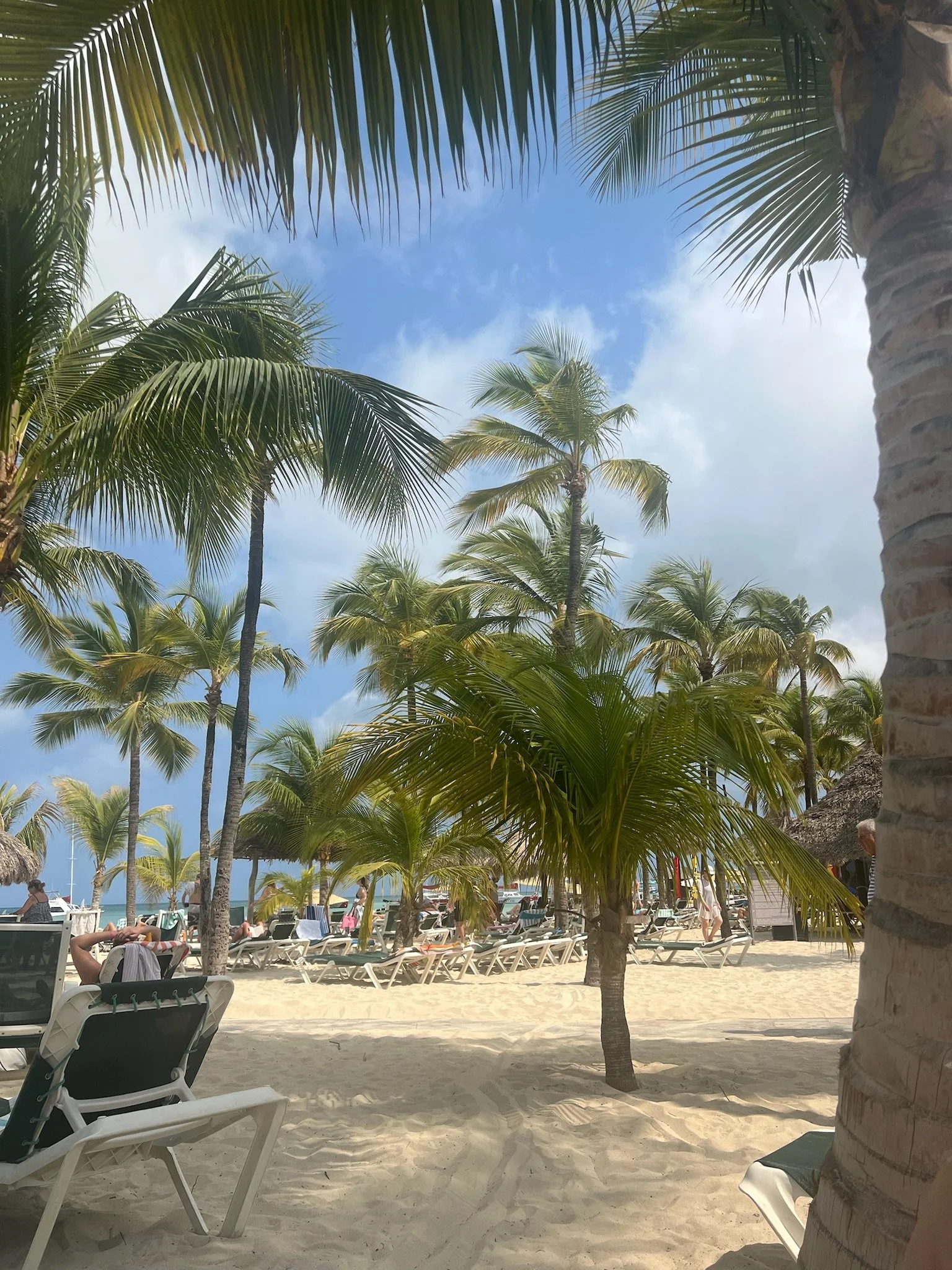 IMG_0859.jpeg