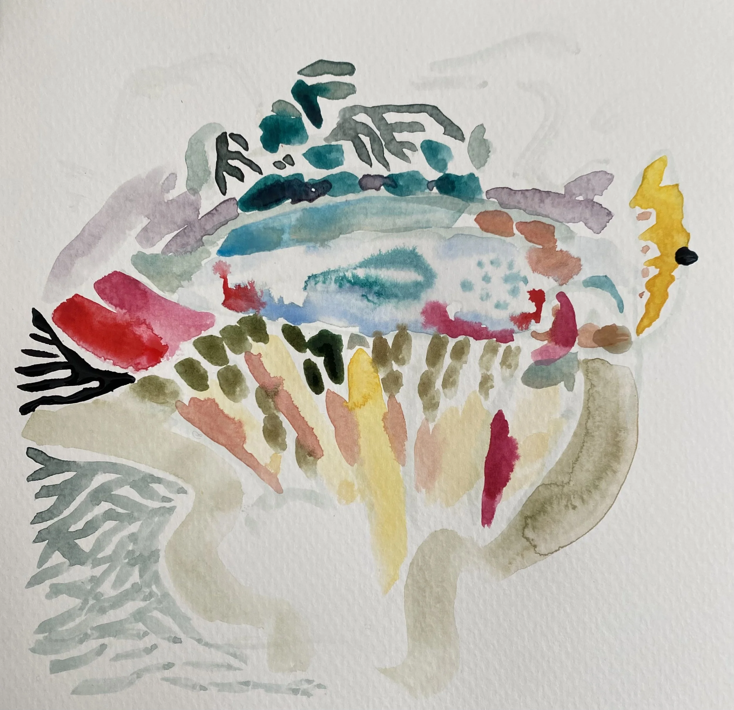 Intro to Abstraction (Sunday) Feb.22nd