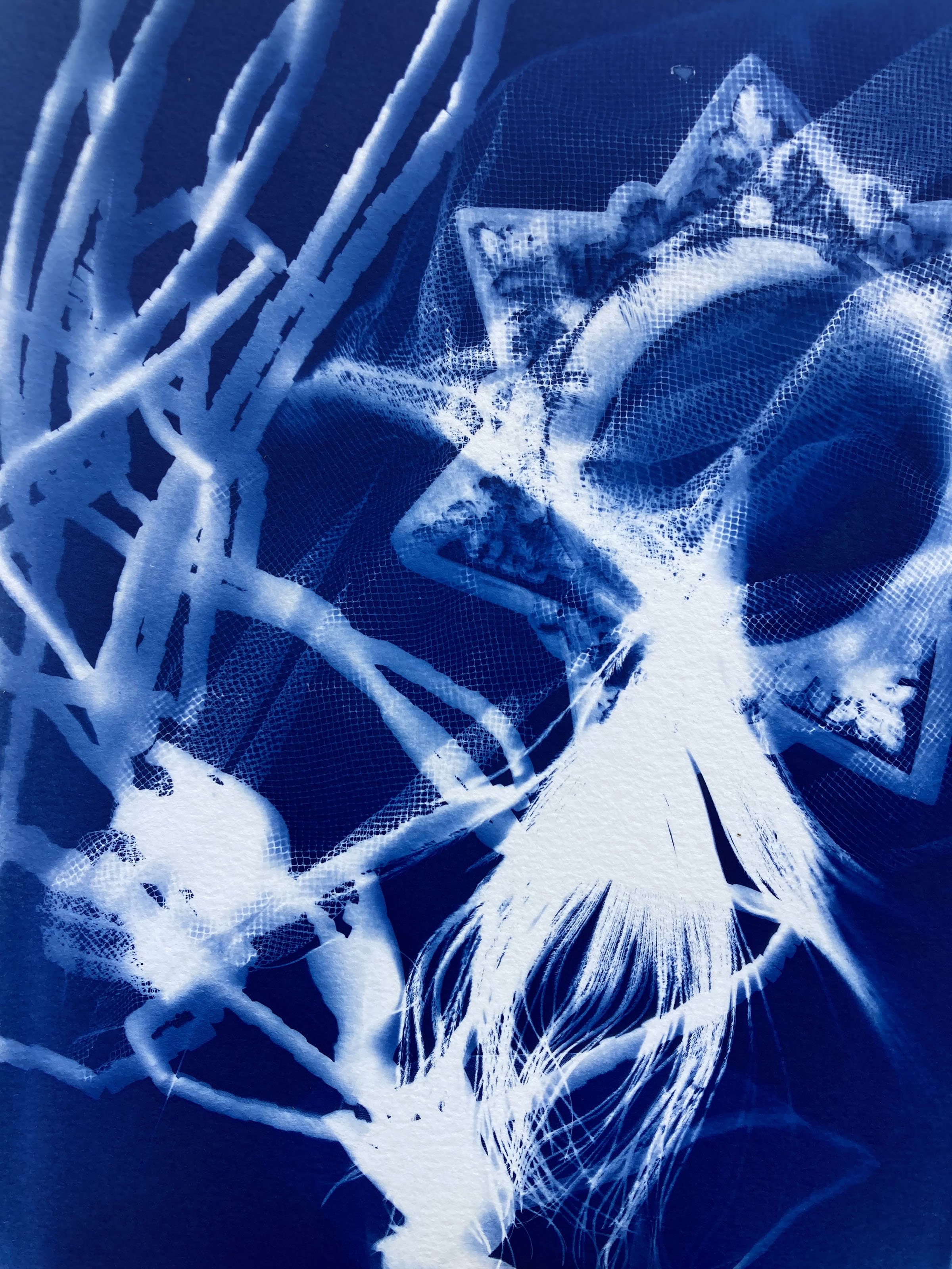 Cyanotype Magic - Mini Intensive (2 Session) - 😷 masks required