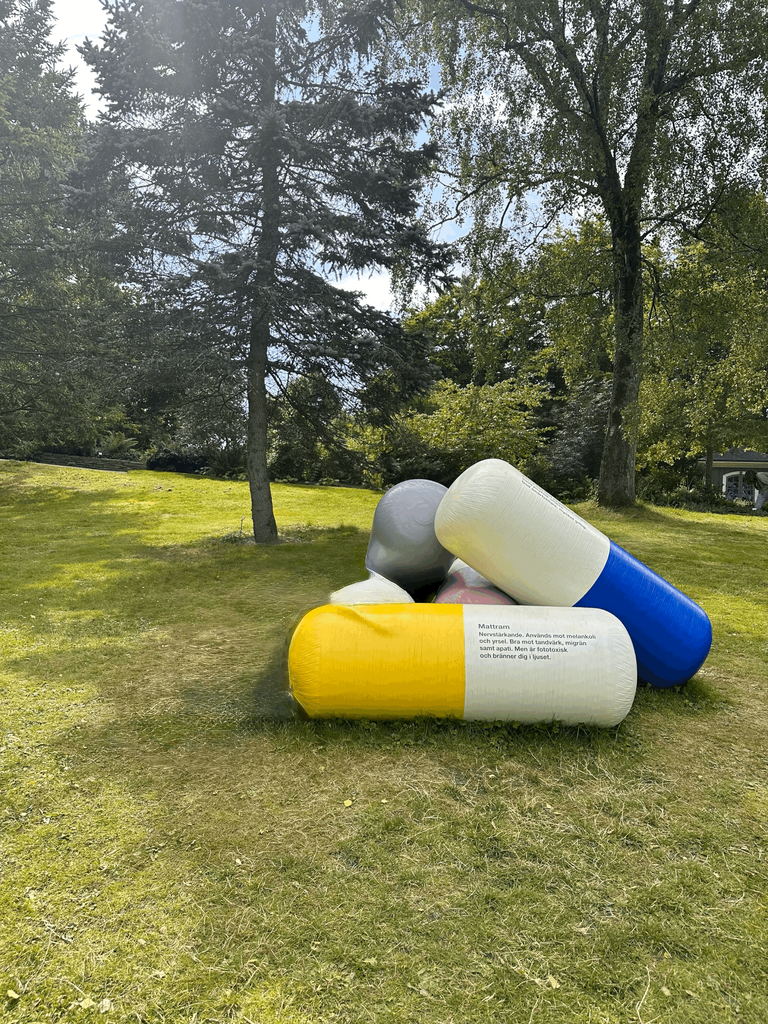 Understanding Medication as Part of a Bigger Picture