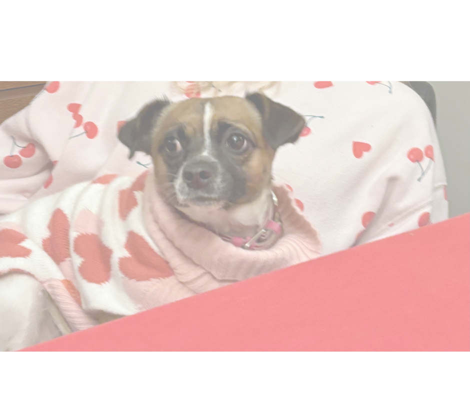 Hearts Under Pressure: Helping Kids Survive Valentine’s Day Social Stress