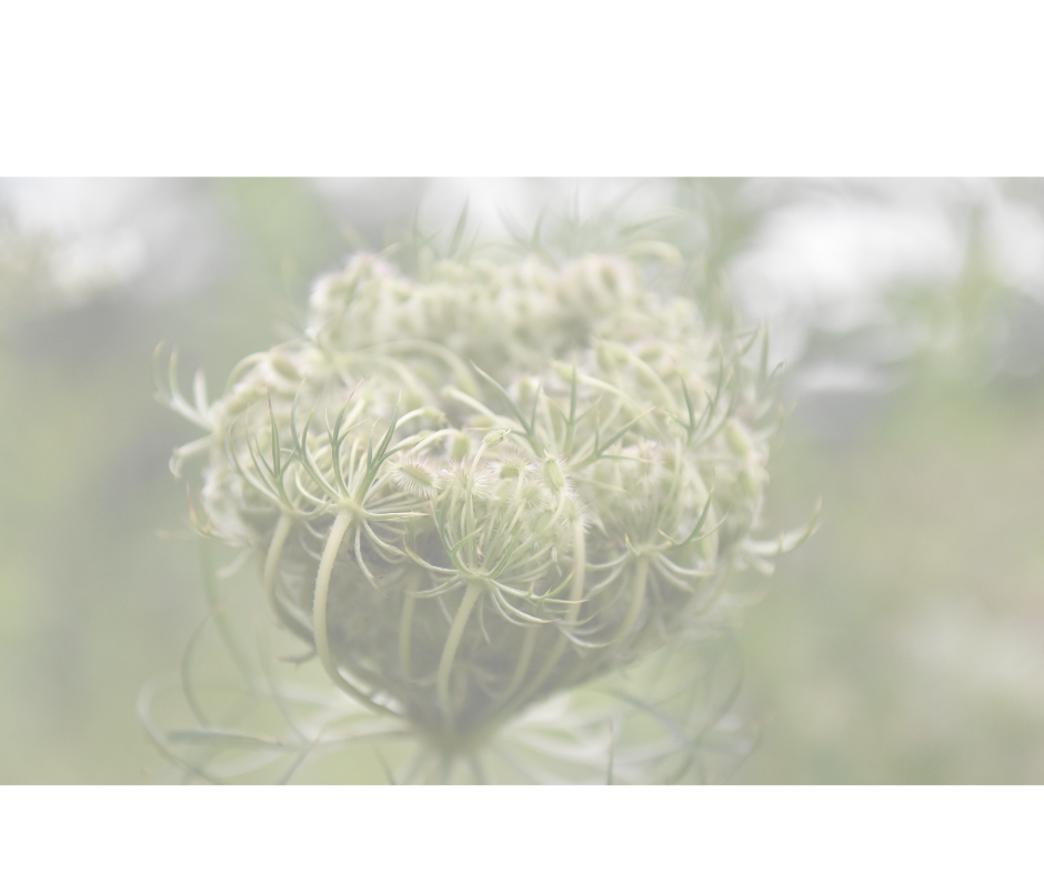 Raising Kids Who Feel at Home in Their Bodies