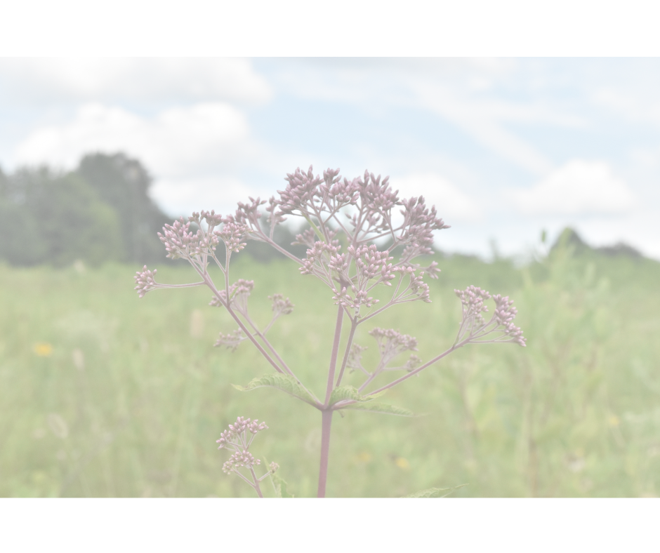 Sexual Assault Awareness: What Everyone Should Know