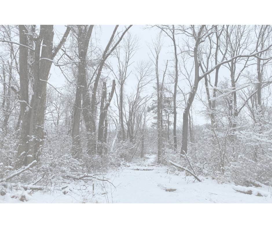 Understanding Sexual Assault Through an Intersectional Lens: Barriers to Survivor Care