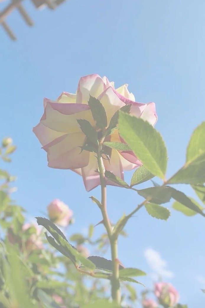 Healing After Sexual Assault: Understanding, Surviving, &amp; Moving Forward