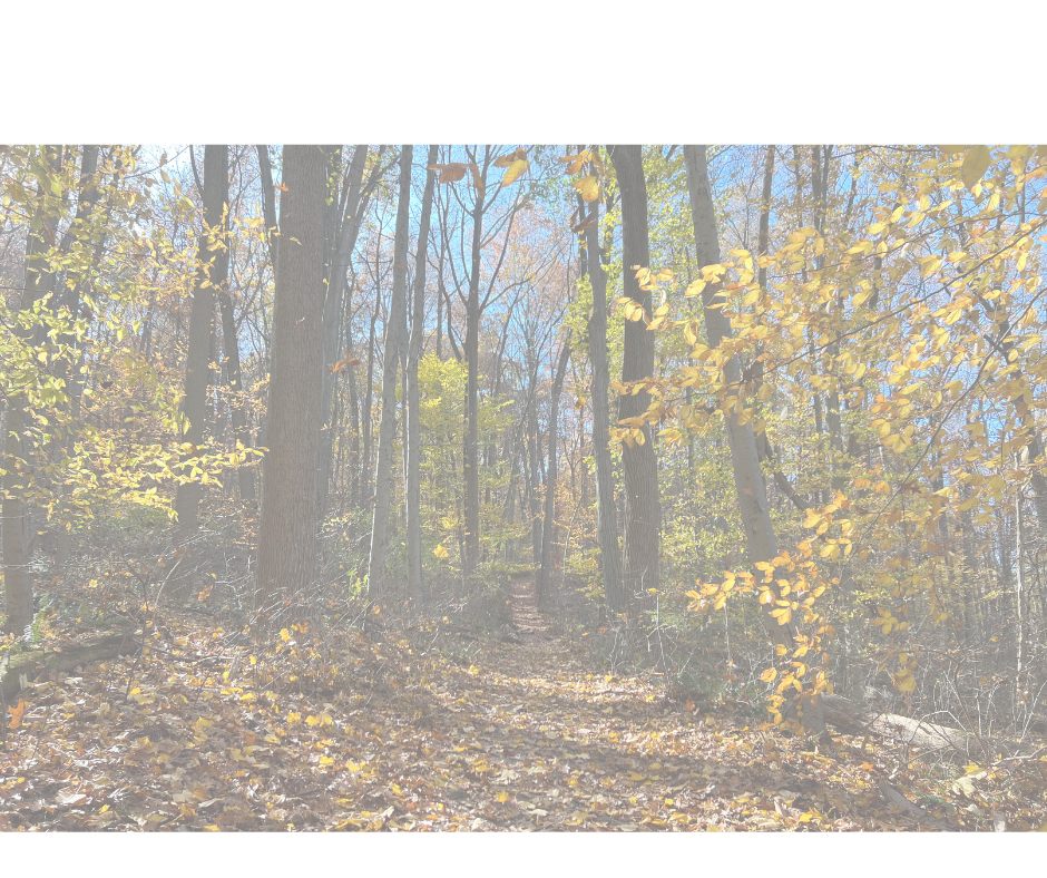 How to Be a Real Ally: 10 Tips for Supporting Survivors of Sexual Assault