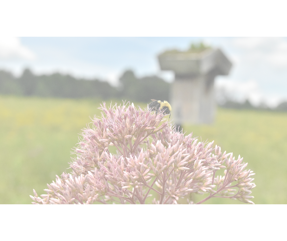 Mother’s Day for Moms with Loss