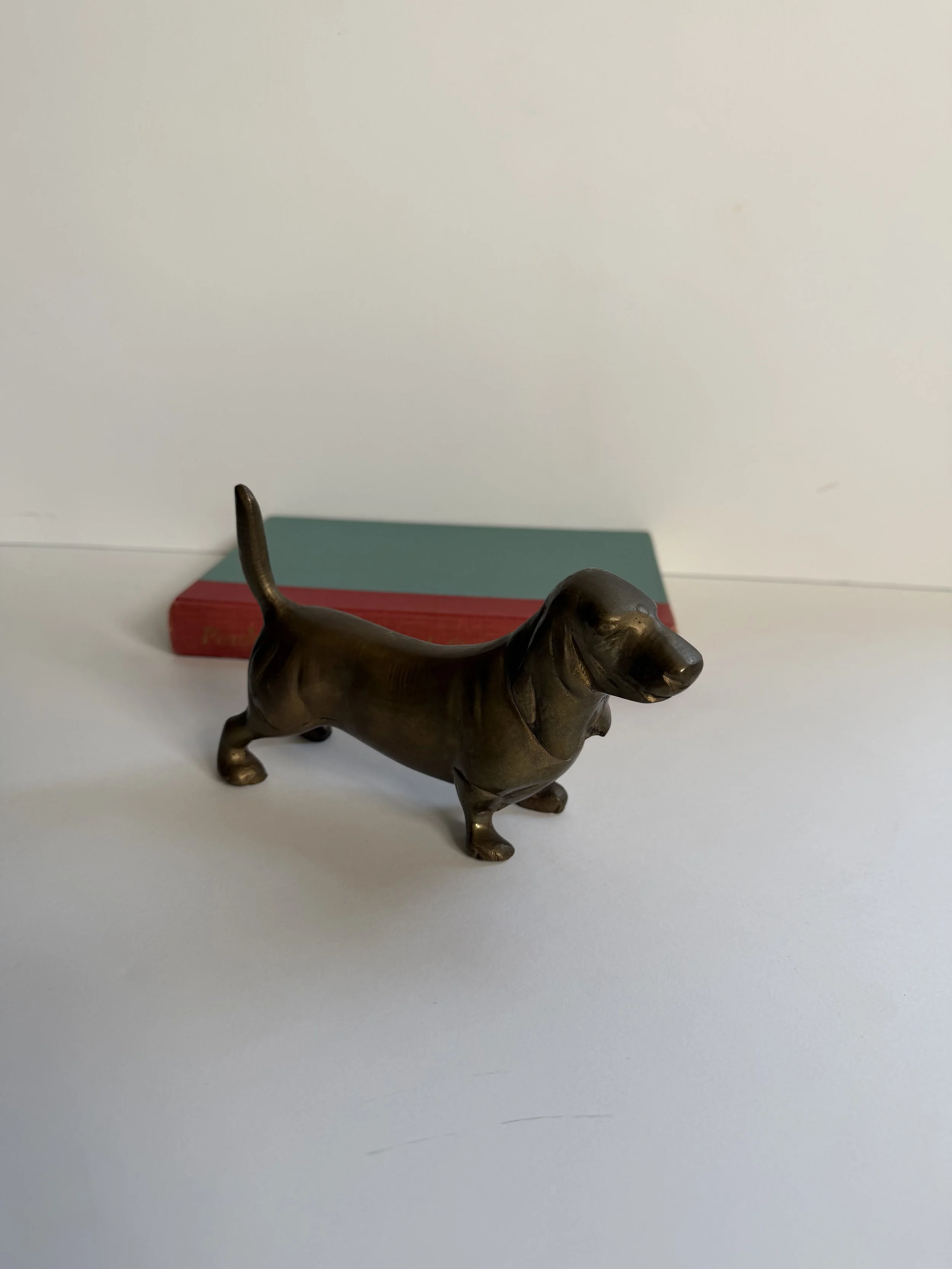 IMG_1781.jpeg