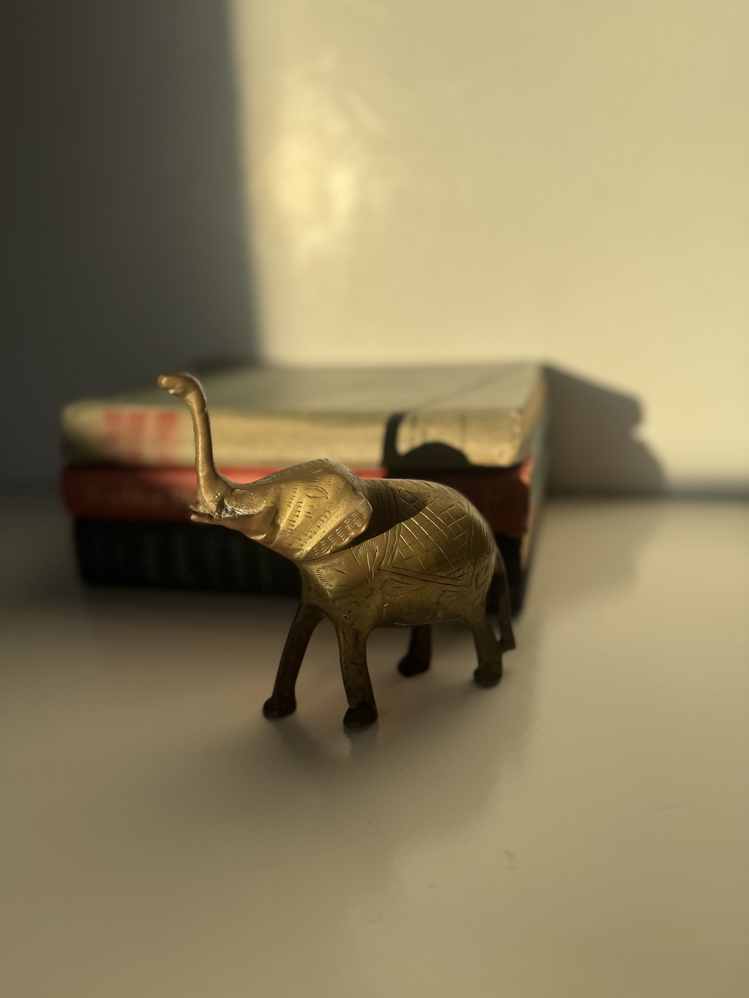 IMG_8156.jpeg