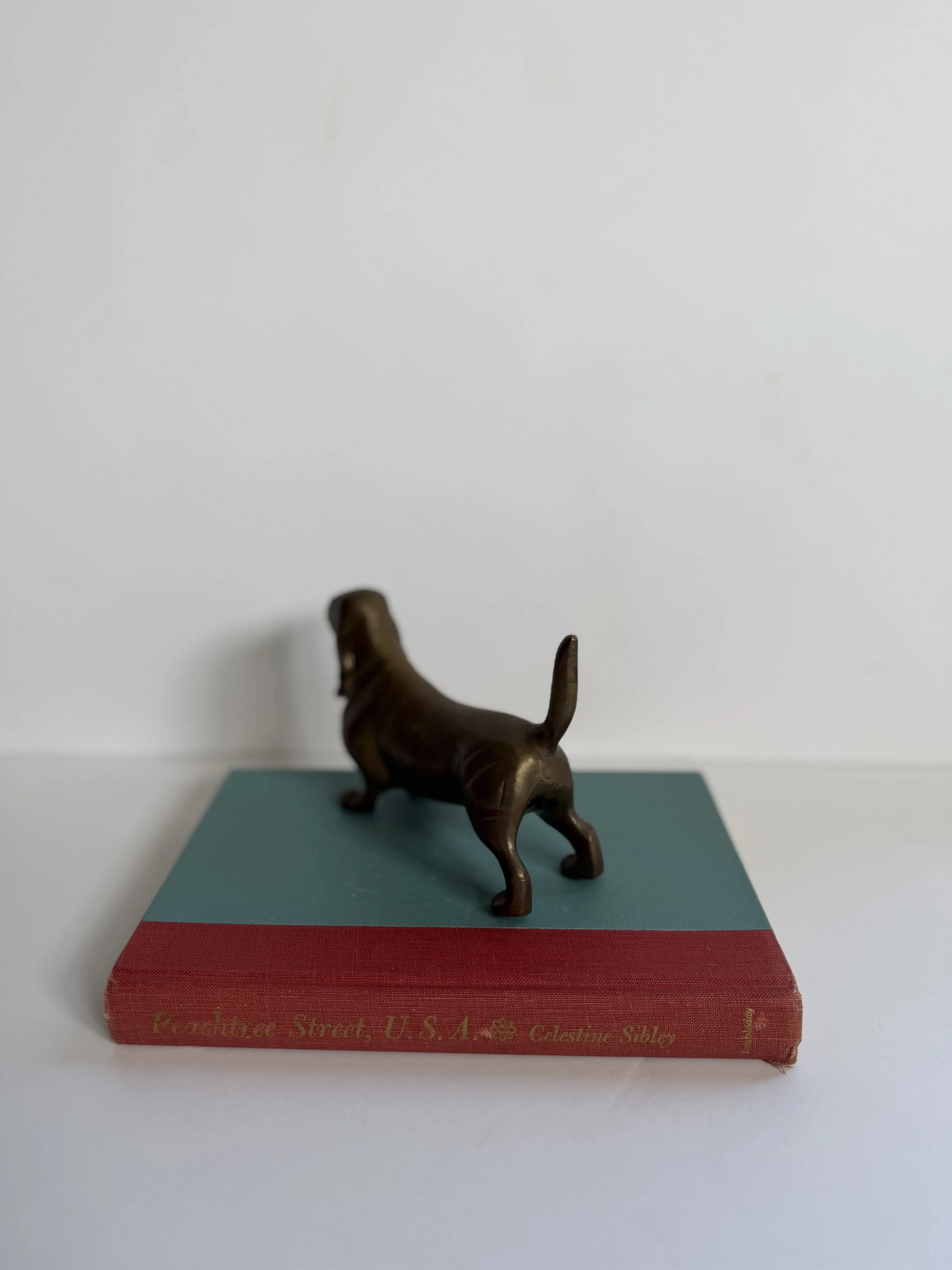 IMG_1779.jpeg