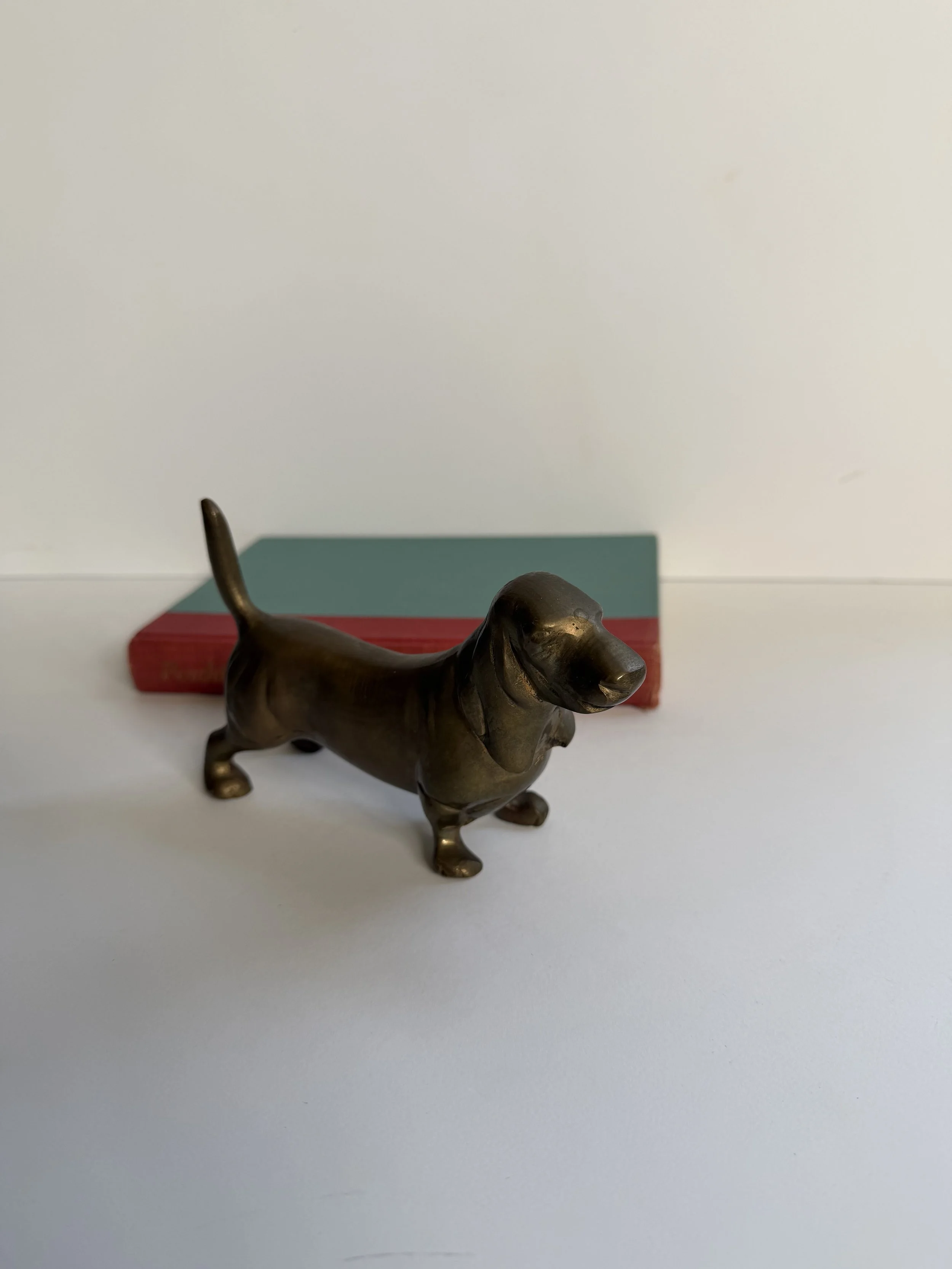 IMG_1785.jpeg
