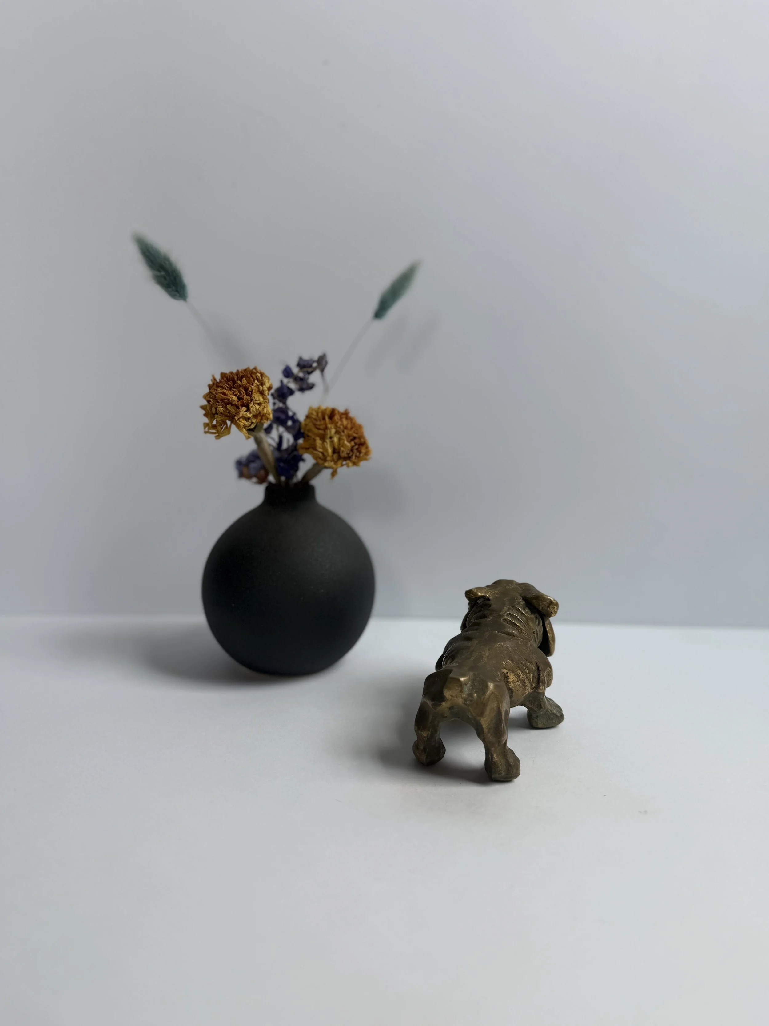 IMG_8661.jpeg