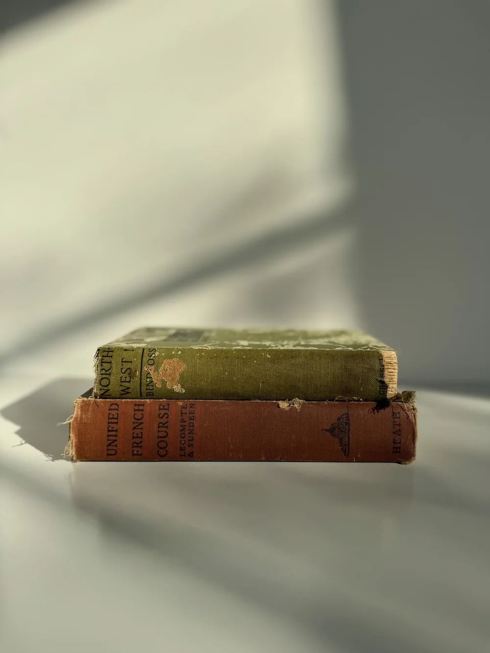 Northwest! Antique Book 1922 — Sunny South — Vintage Home