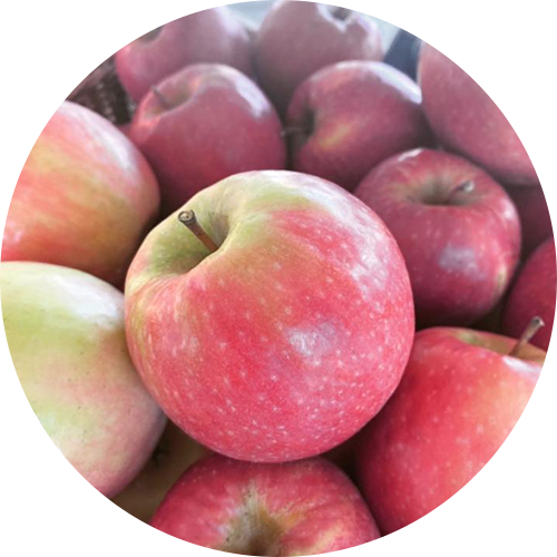 Fresh Organic Apples – PLOW