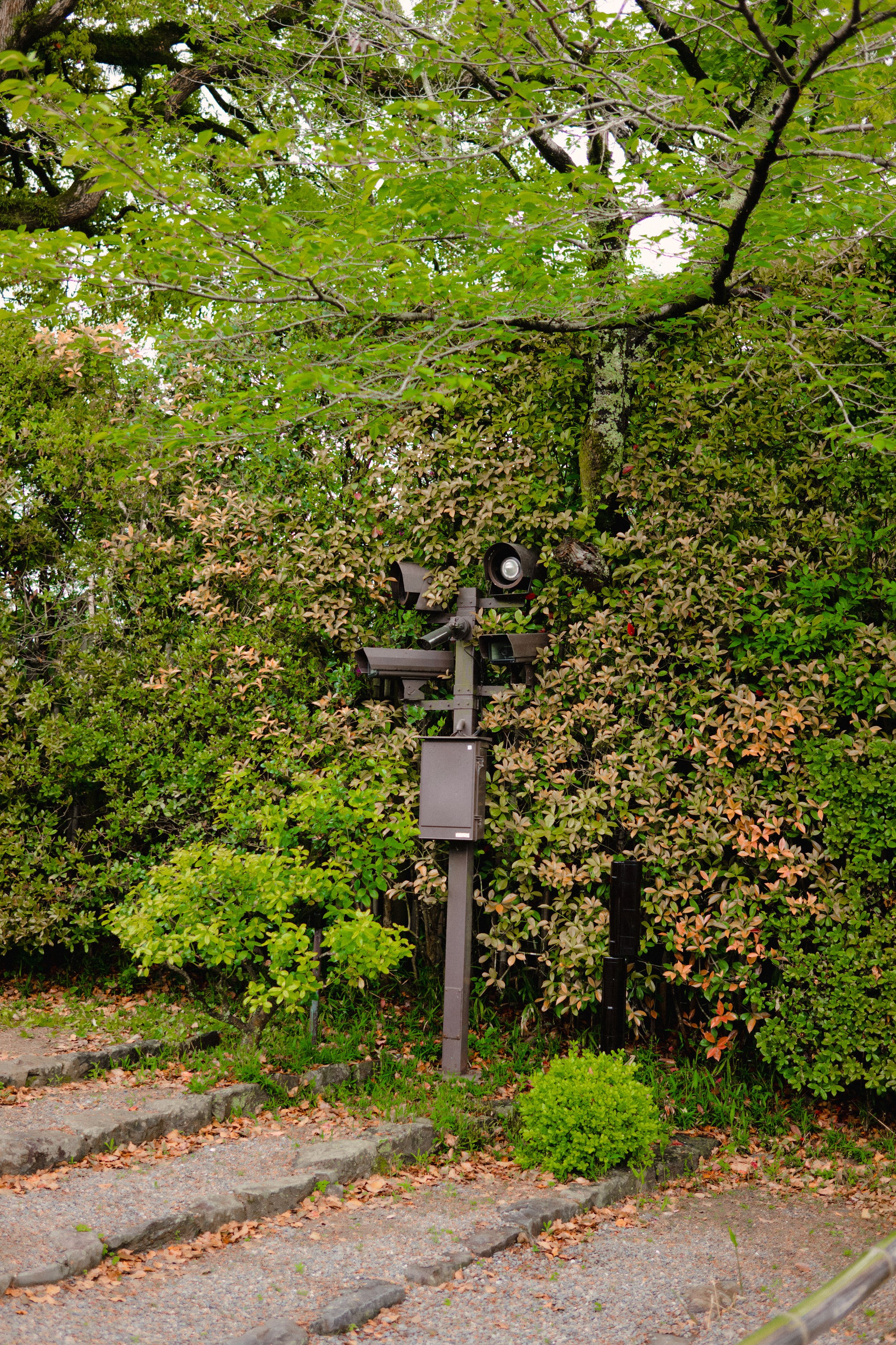 C1030187.jpg