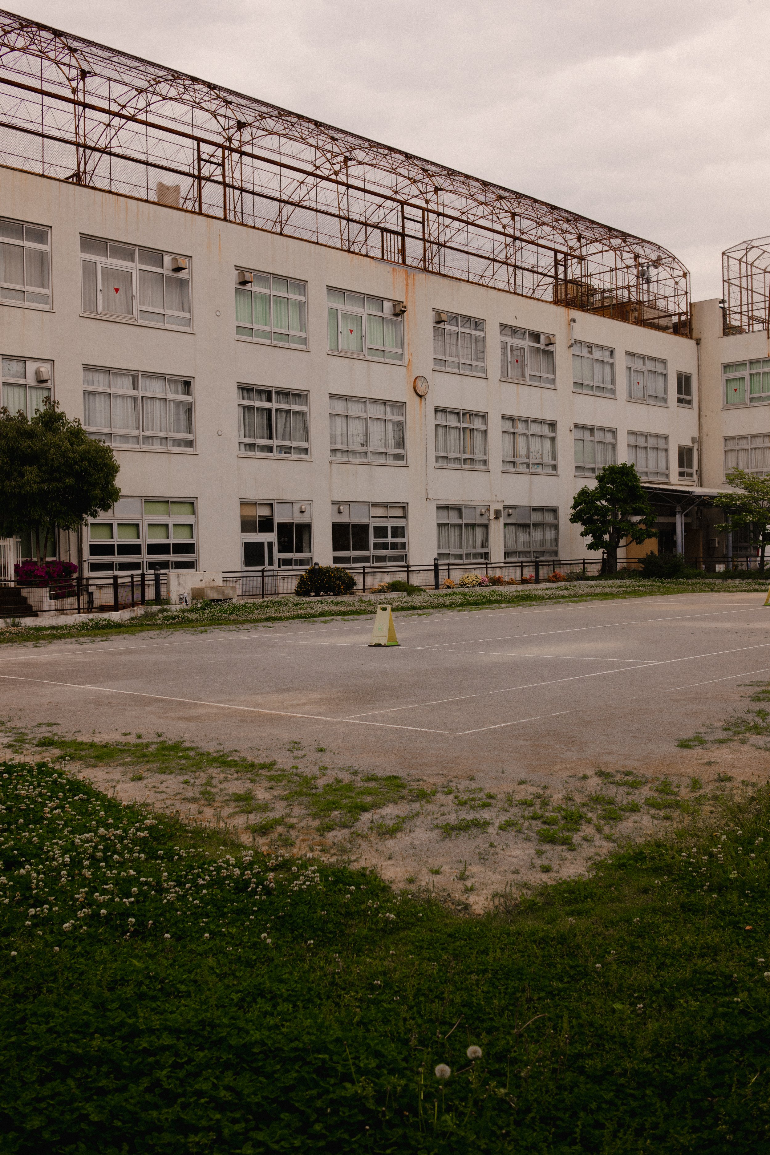 C1030409.jpg