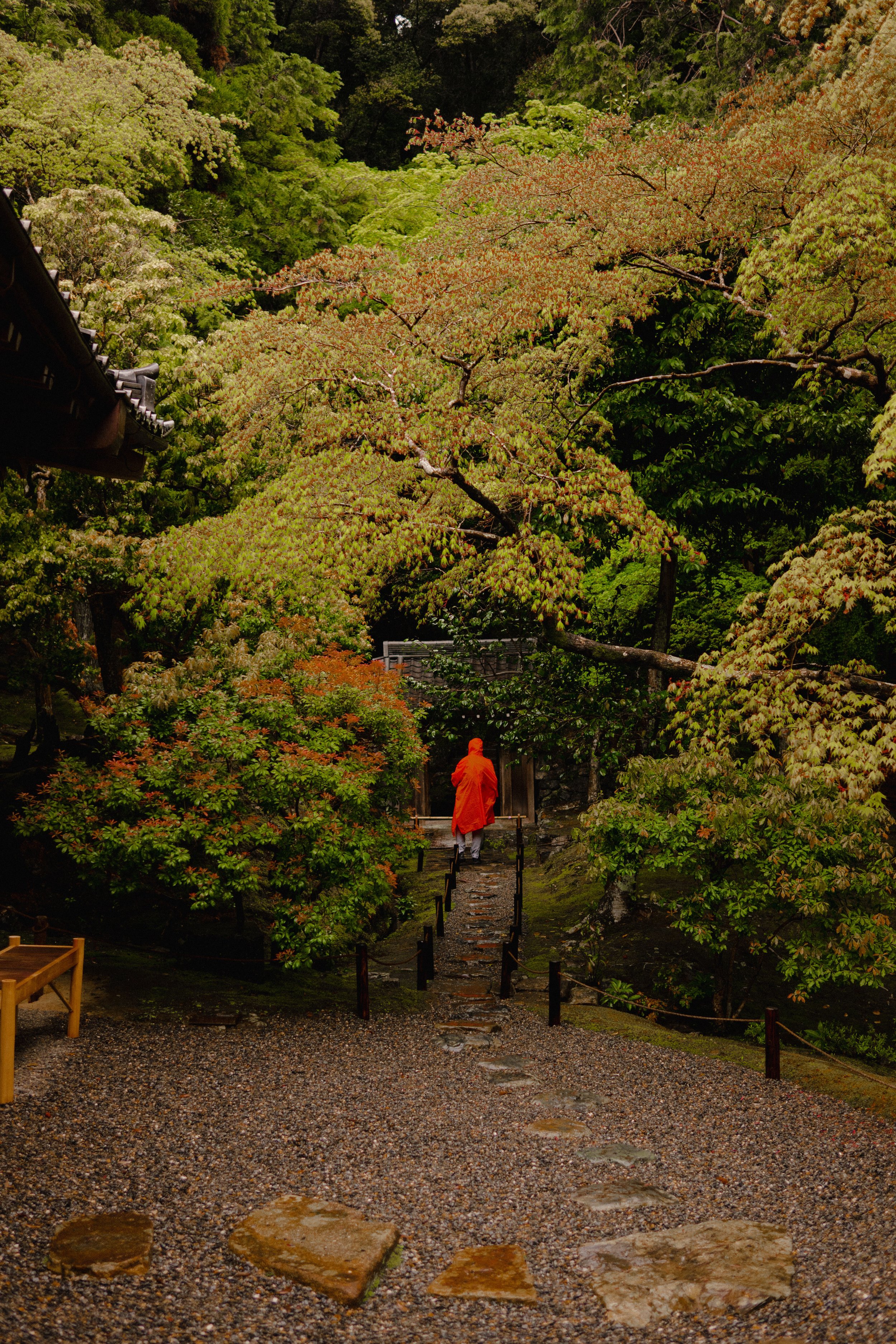 C1020479.jpg