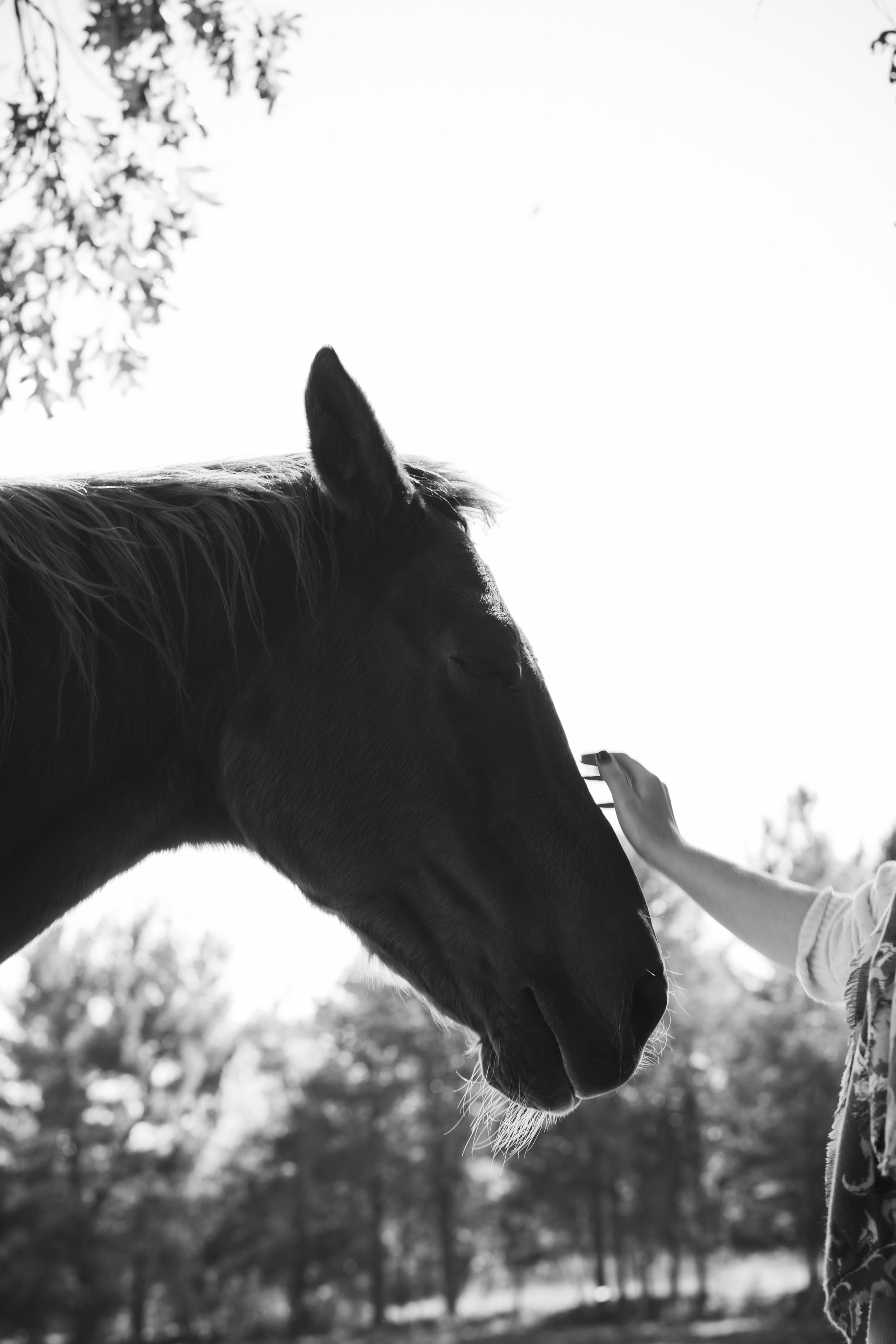 Transformative Grief Group