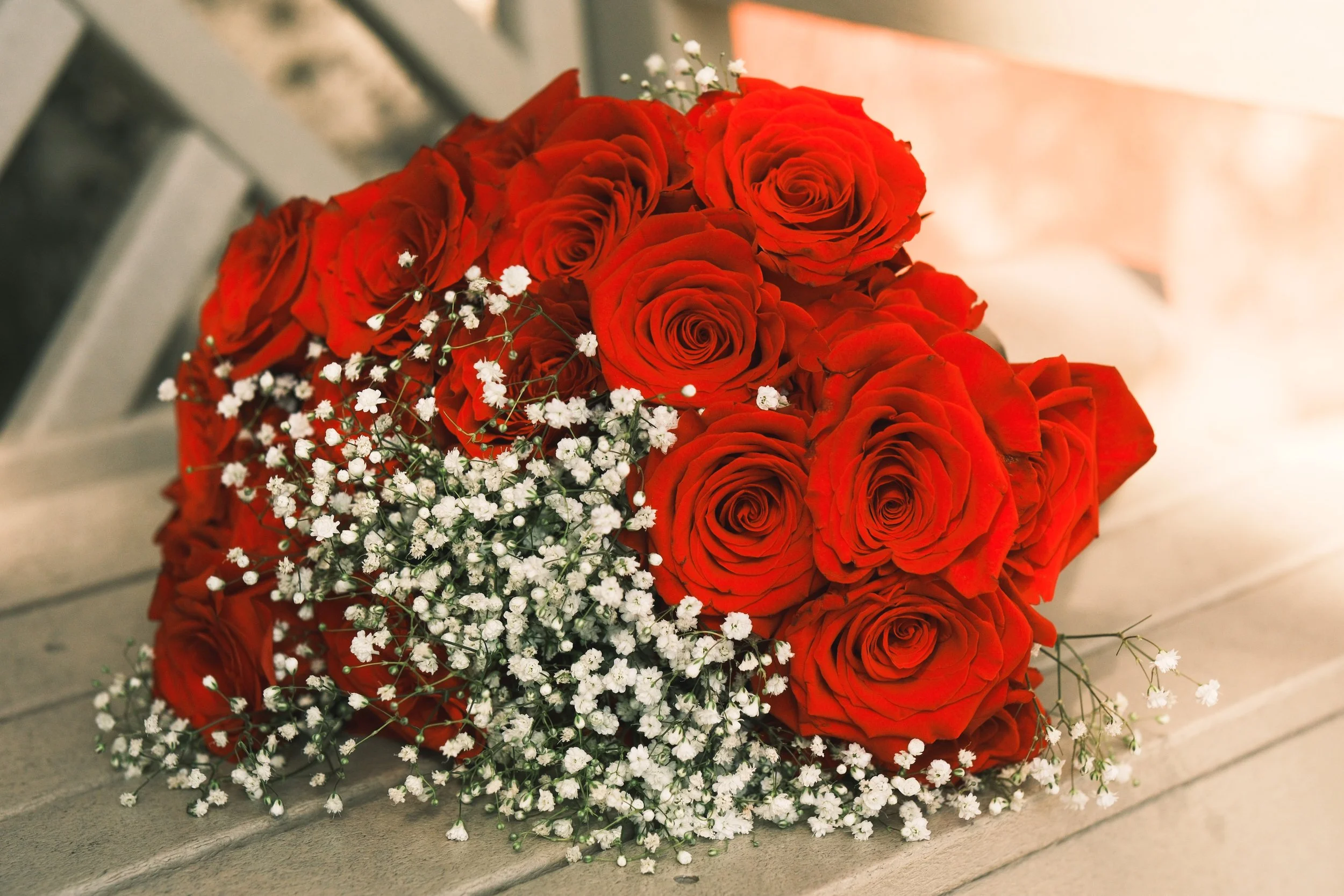 Sophia_Gabo_Proposal-5.jpg