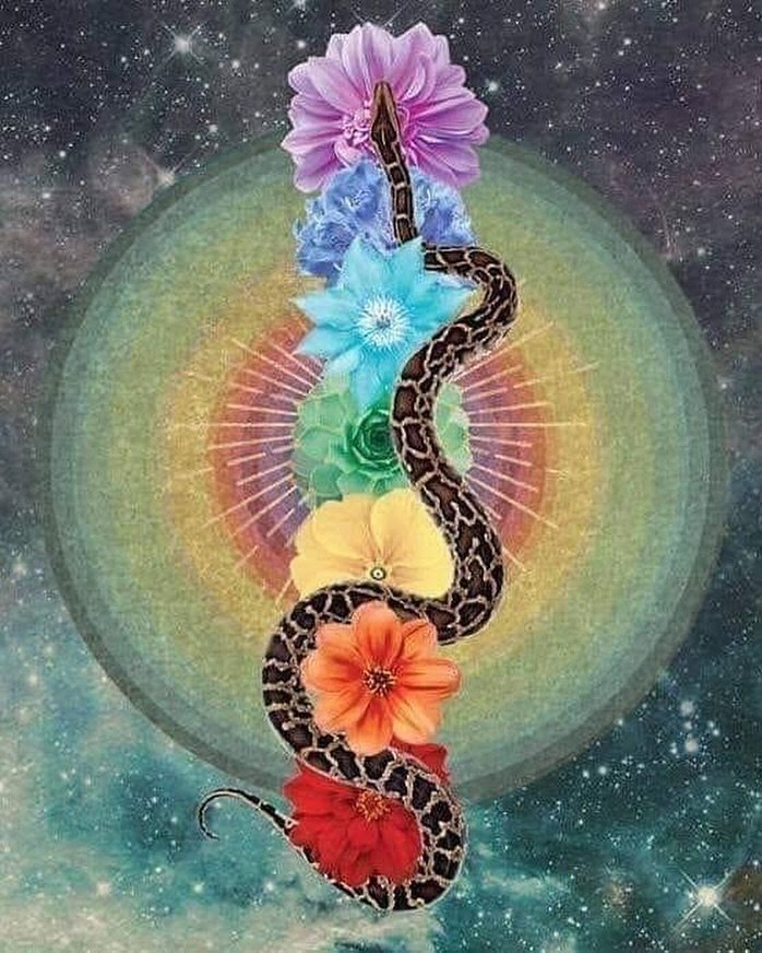 9 Kan (snake) is a day of empowerment through women&rsquo;s wisdom and power, to see through the illusion of the world.
It is essential to understand that the energy we generate not only influences our physical environment, but also has a profound ef
