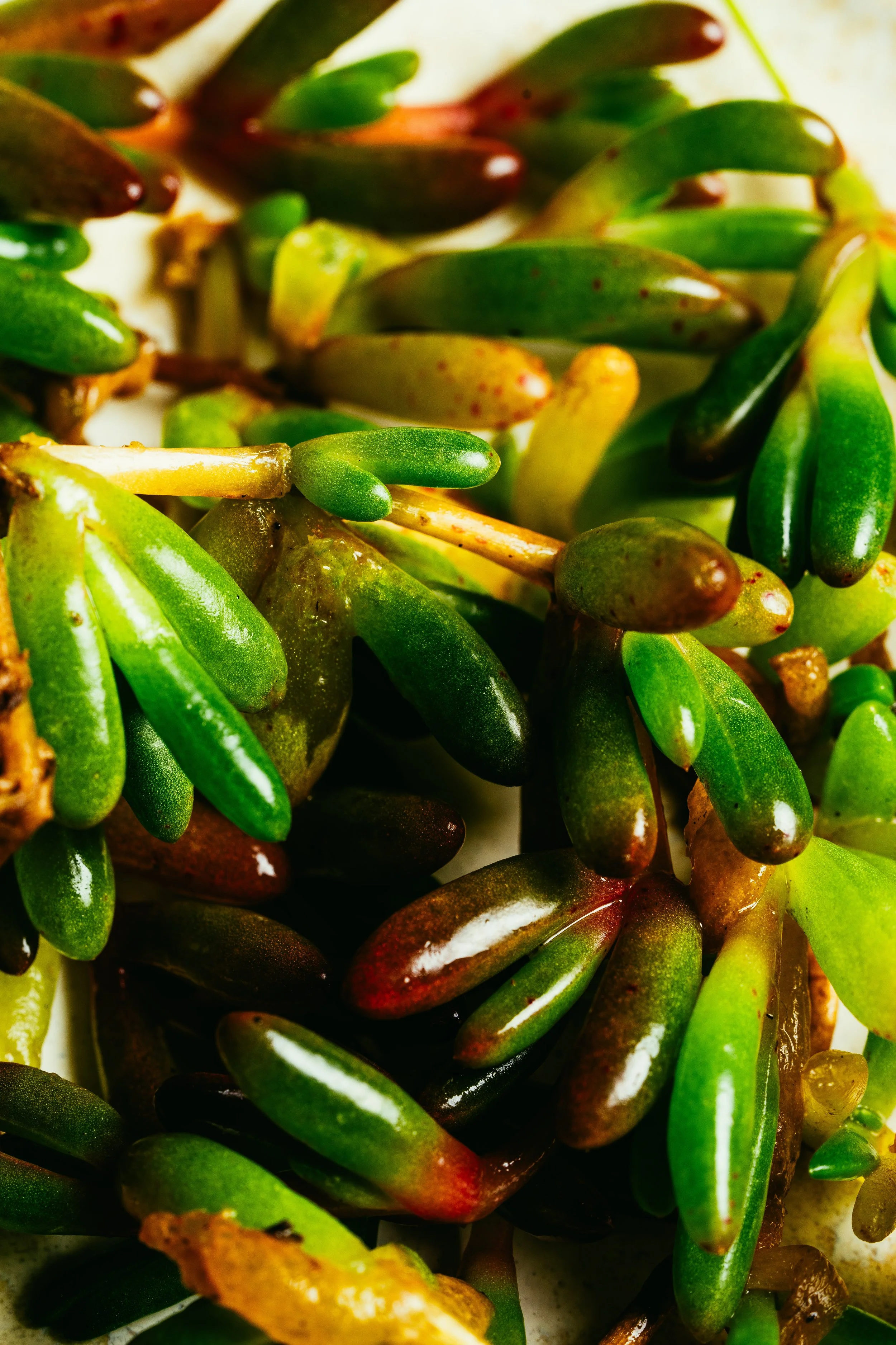 FALLACHAN_KITCHEN_CONTENT_DAY_15_07_26-169.jpg