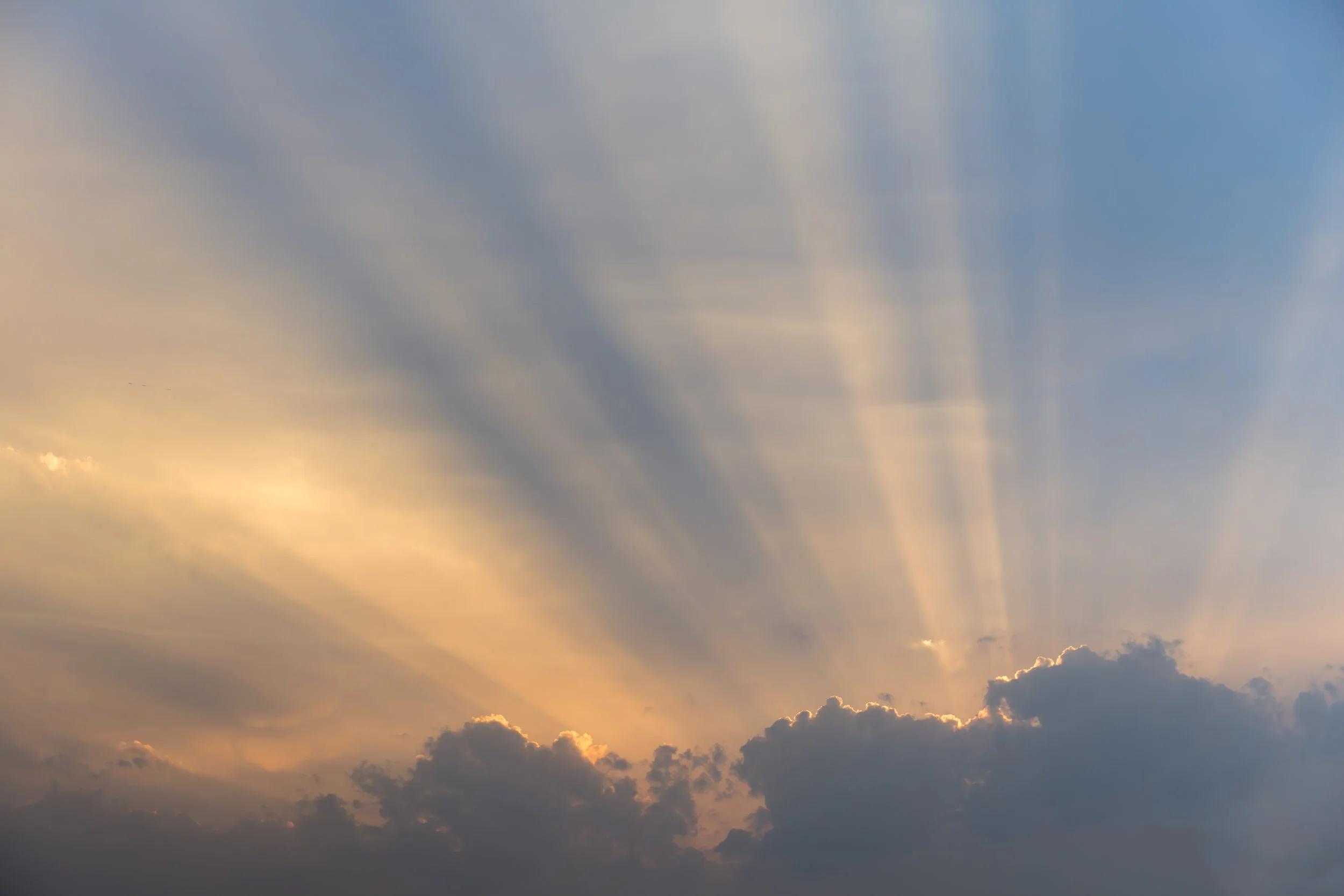 The Testimony That Pleases God