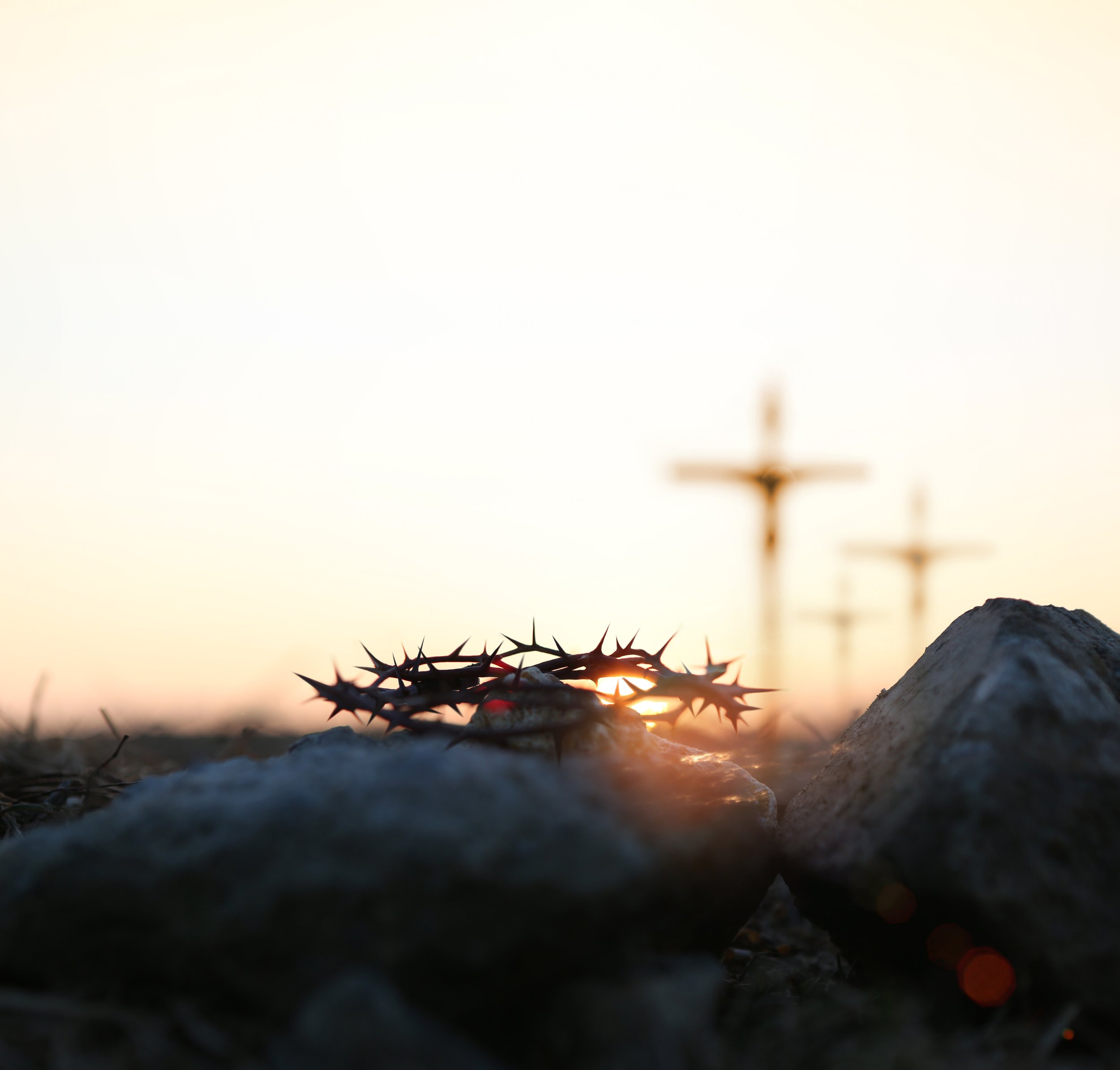 Peace Through The Blood Of The Cross