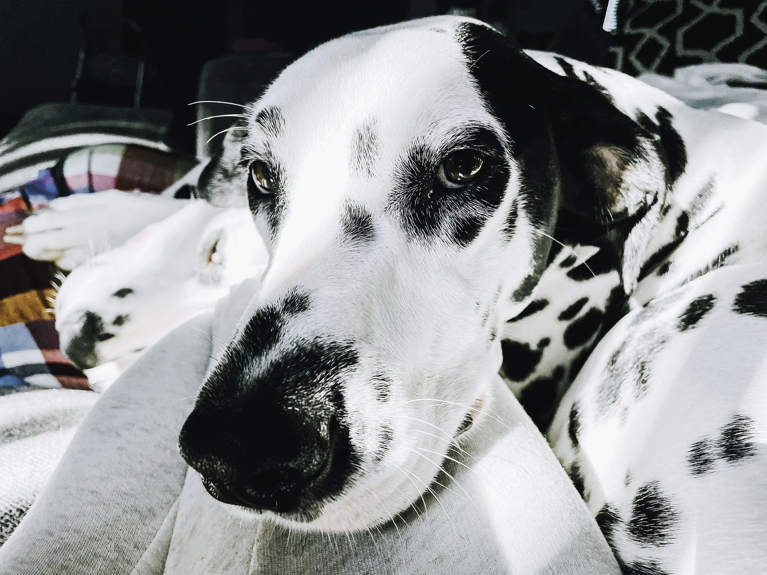 IMG_0758-Edit copy.jpg