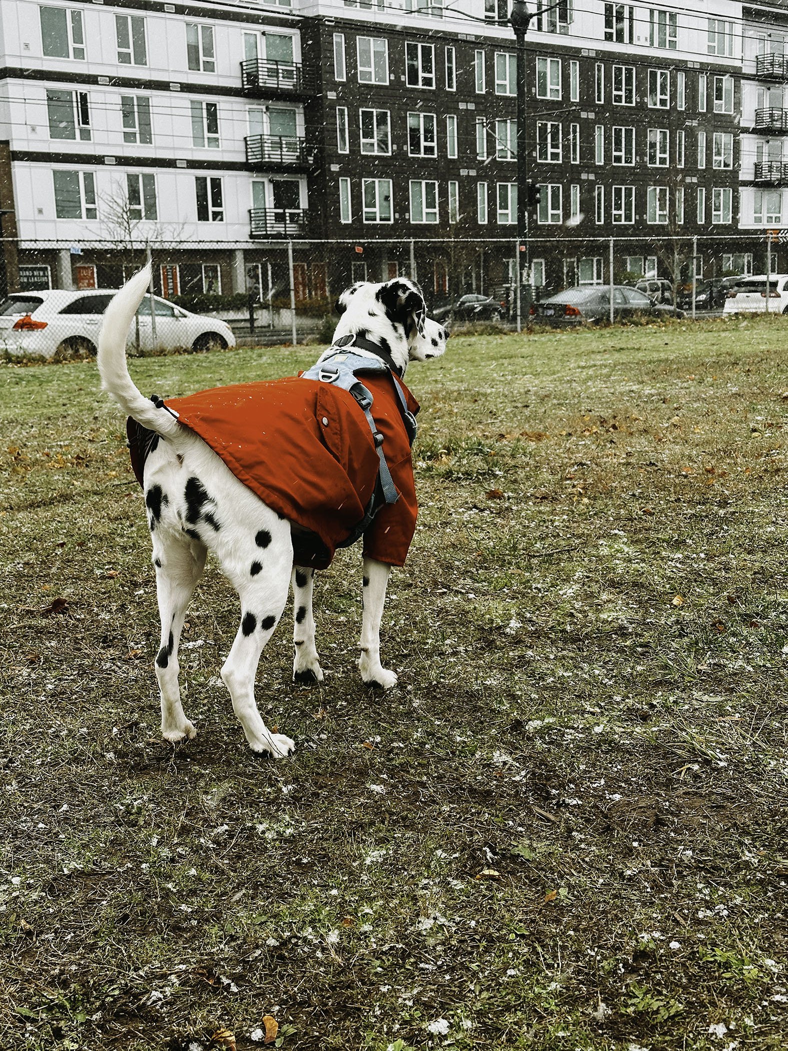 IMG_0086-Edit copy.jpg